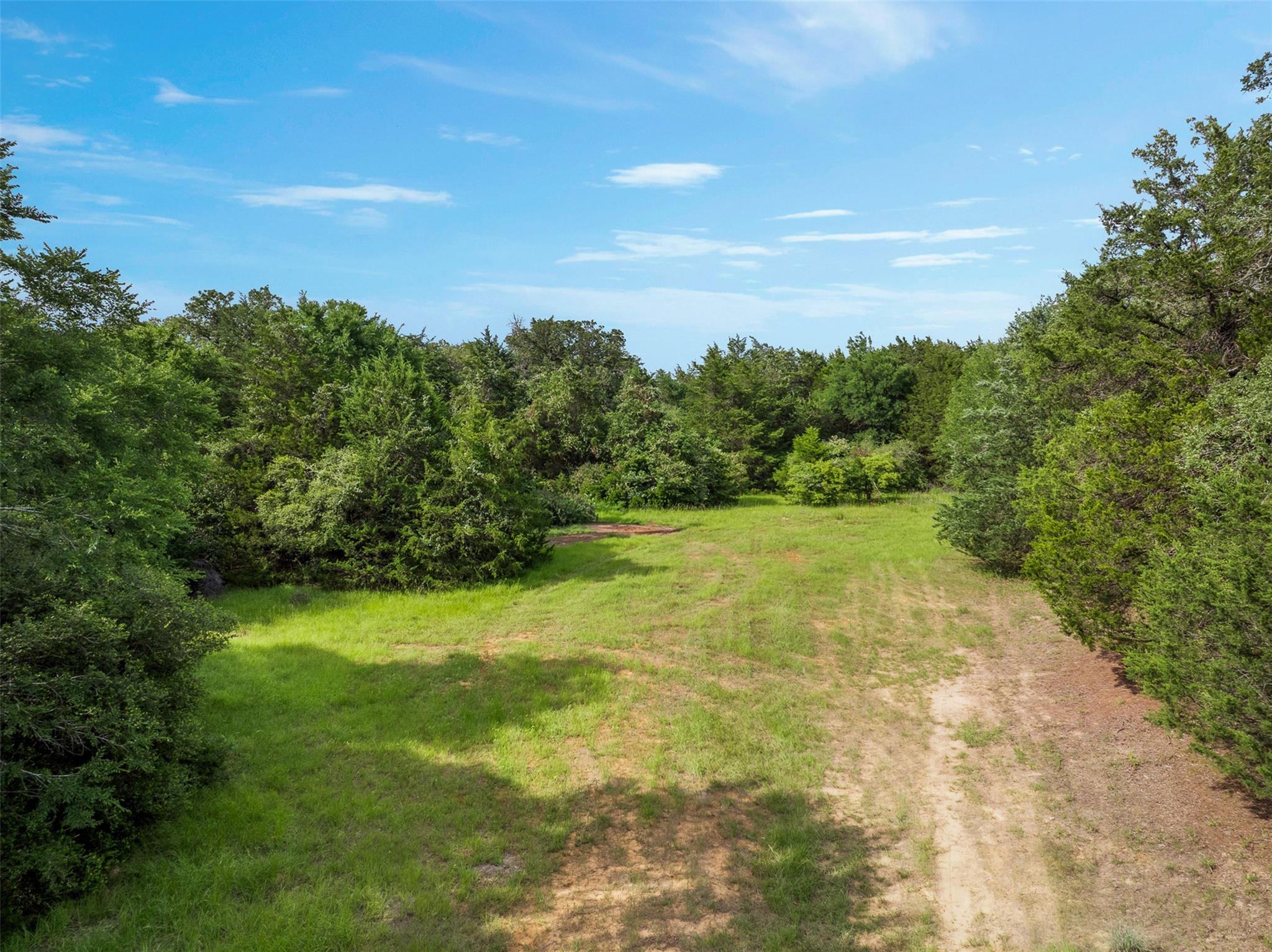 TBD (+/- 15 Acres) County Road 316, Caldwell, TX 77836