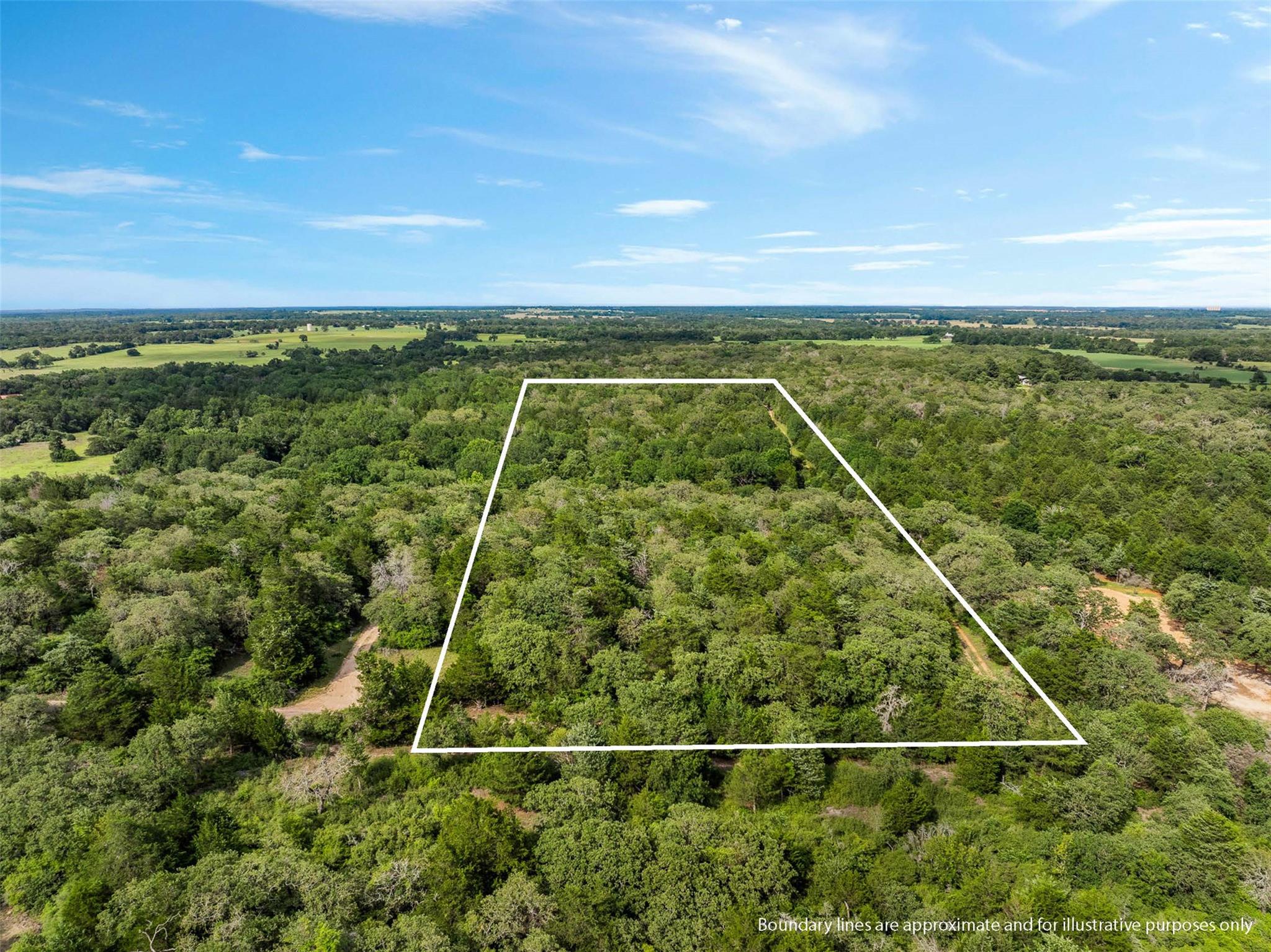 TBD (+/- 15 Acres) County Road 316, Caldwell, TX 77836