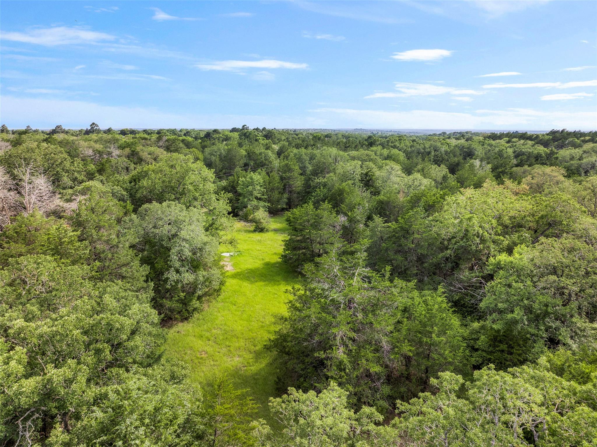 TBD (+/- 15 Acres) County Road 316, Caldwell, TX 77836