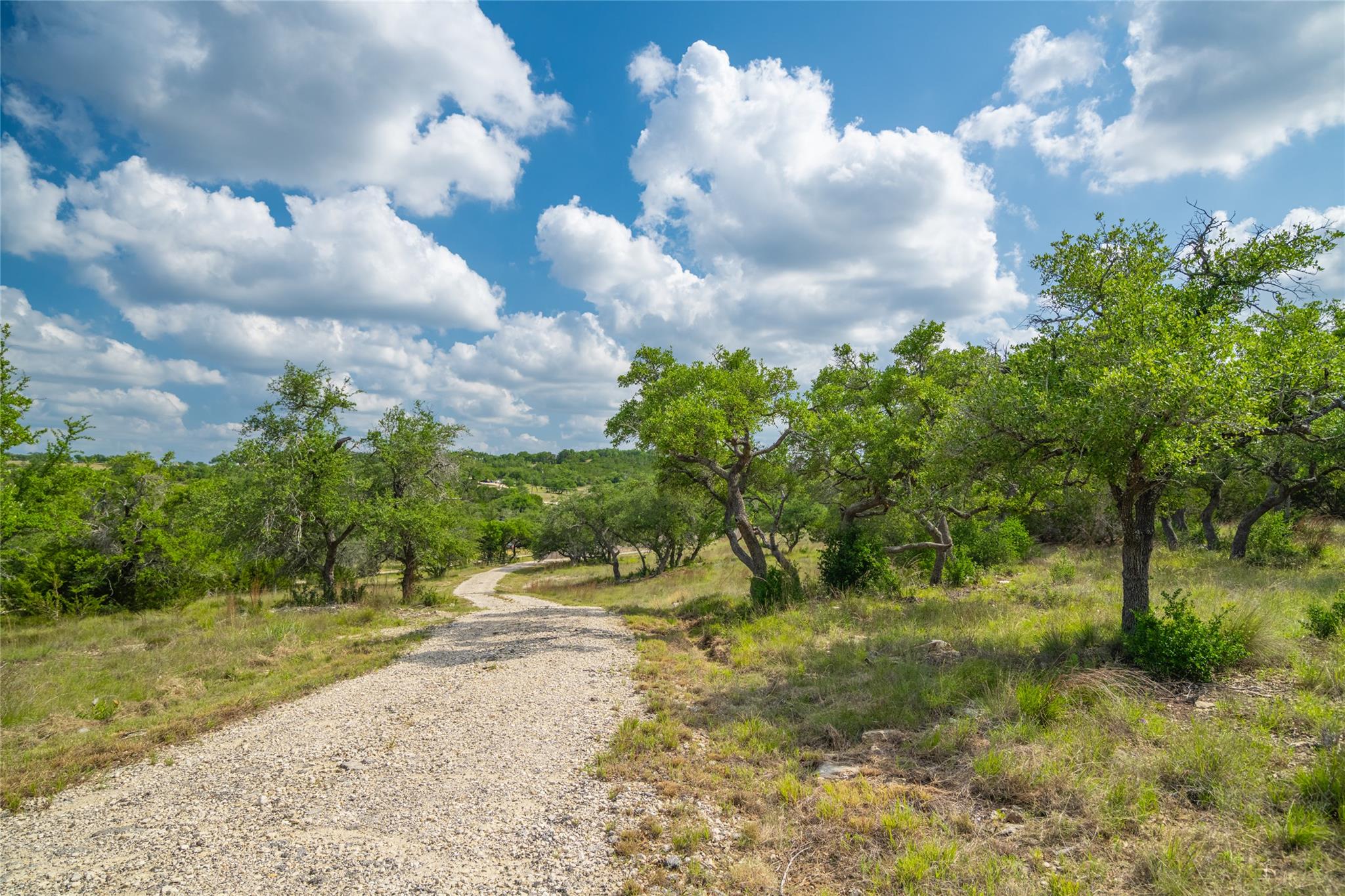 11155 Bonham Ranch Rd, Dripping Springs, TX 78620