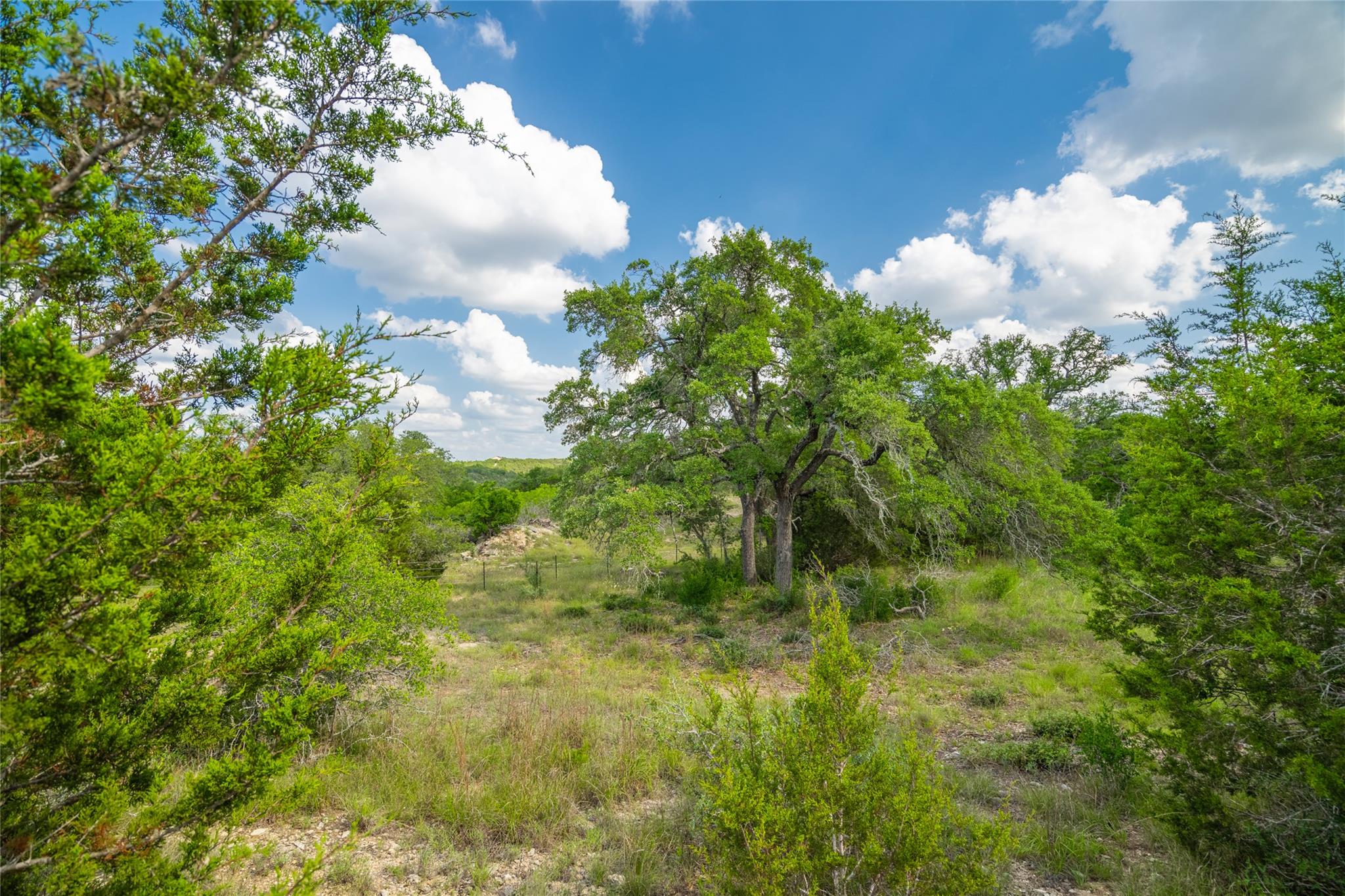 11155 Bonham Ranch Rd, Dripping Springs, TX 78620