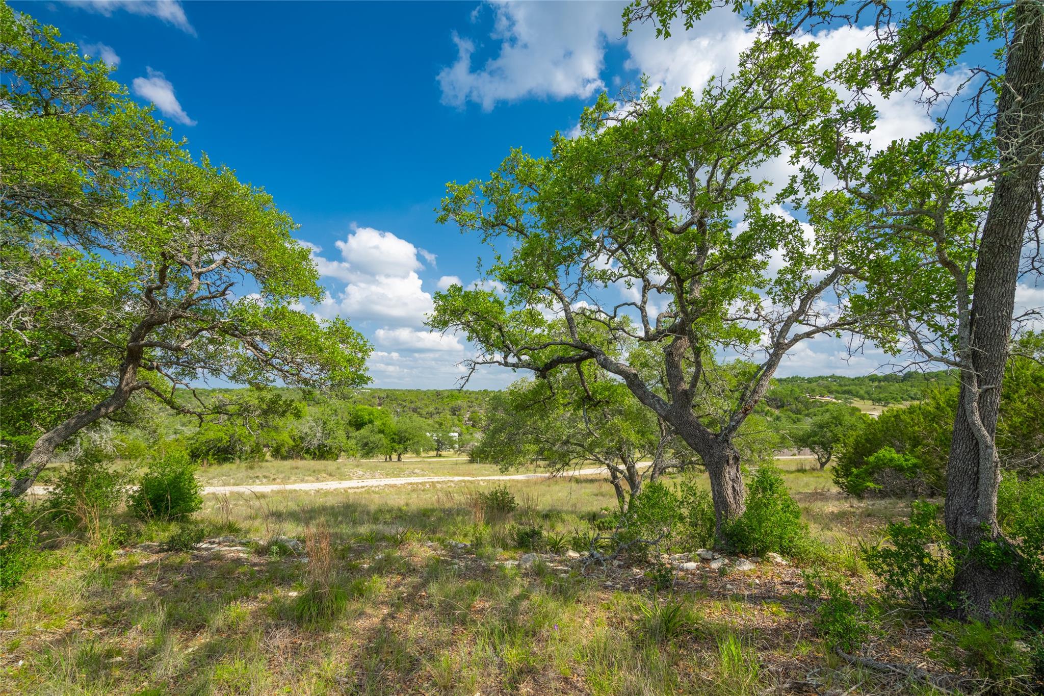 11155 Bonham Ranch Rd, Dripping Springs, TX 78620