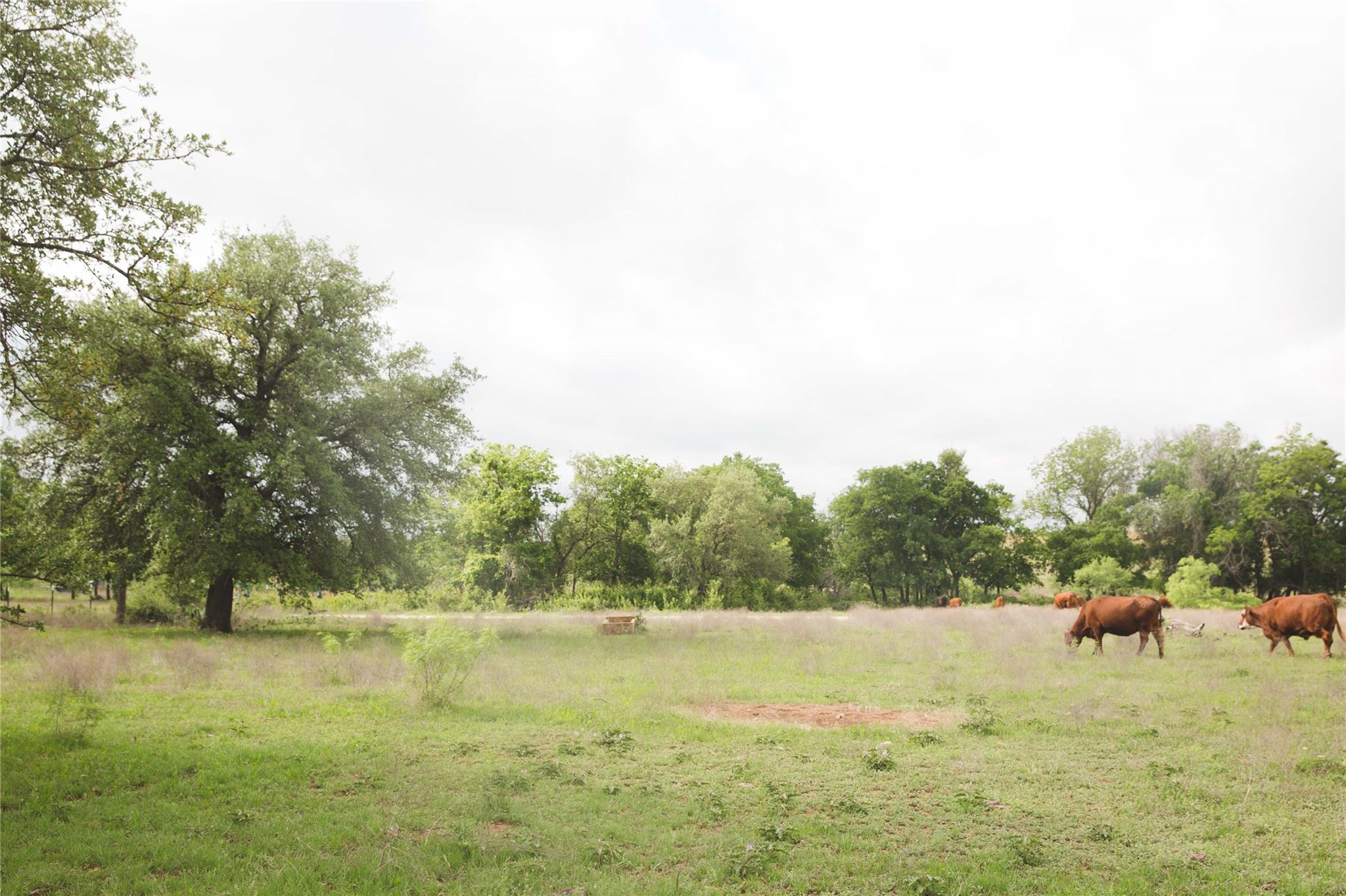 Tract 34 County Road 2800, Lometa, TX 76853