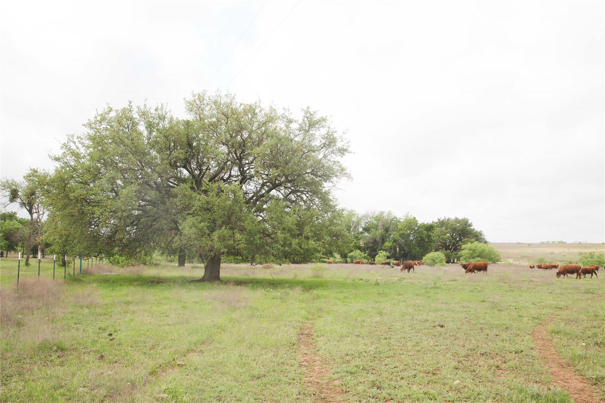 Tract 34 County Road 2800, Lometa, TX 76853