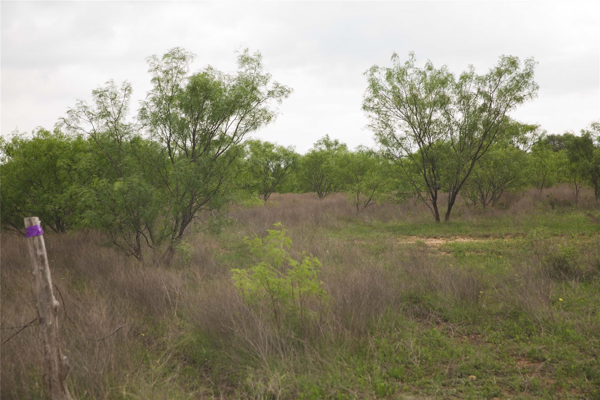 Tract 34 County Road 2800, Lometa, TX 76853