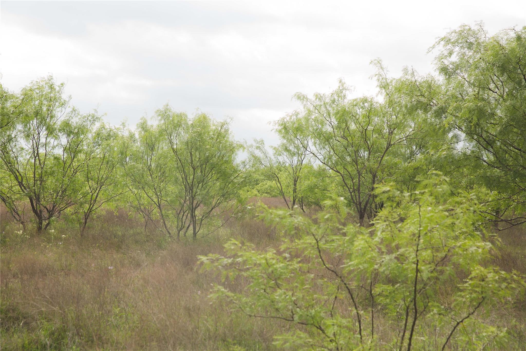 Tract 34 County Road 2800, Lometa, TX 76853