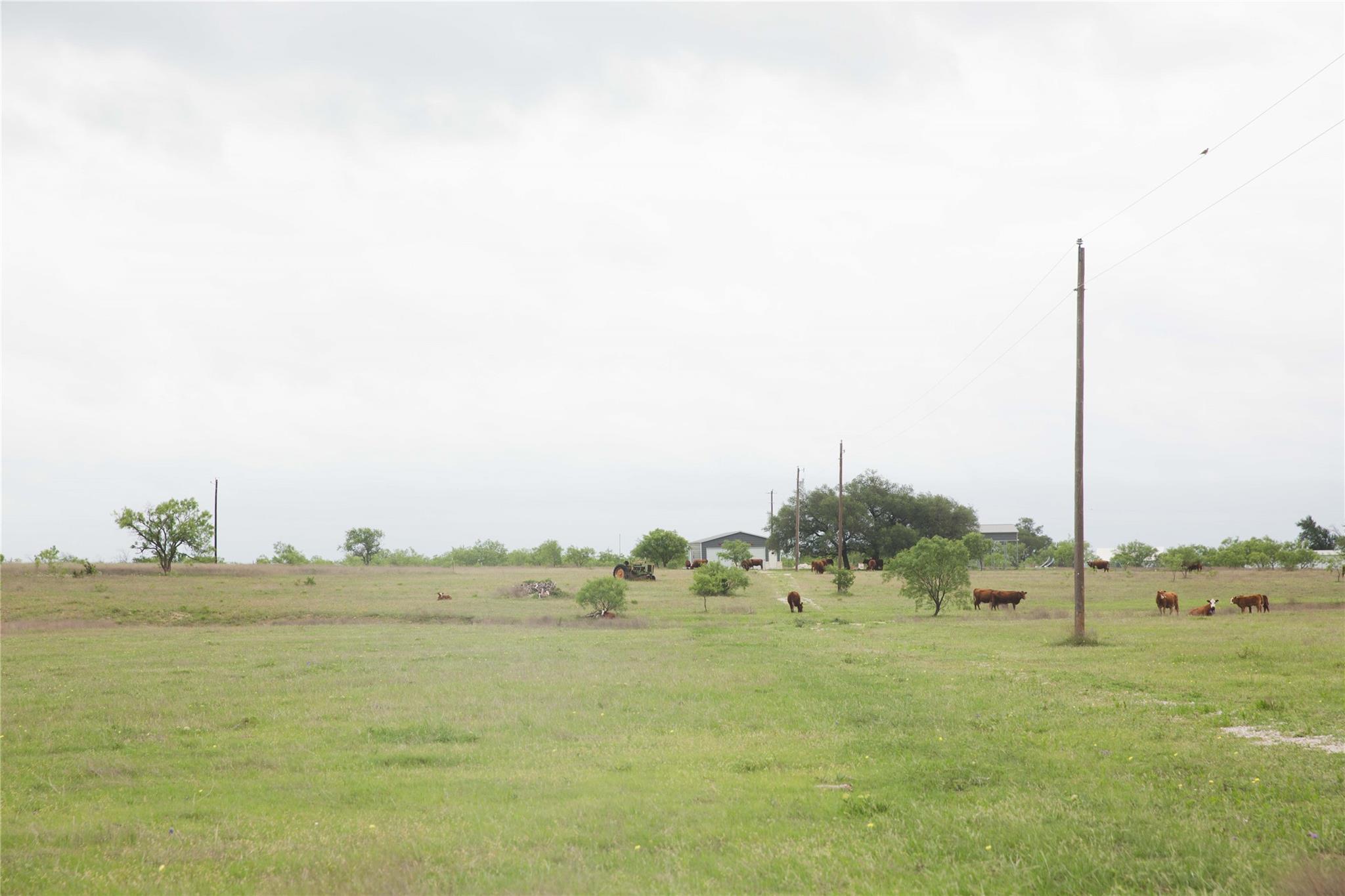 Tract 34 County Road 2800, Lometa, TX 76853