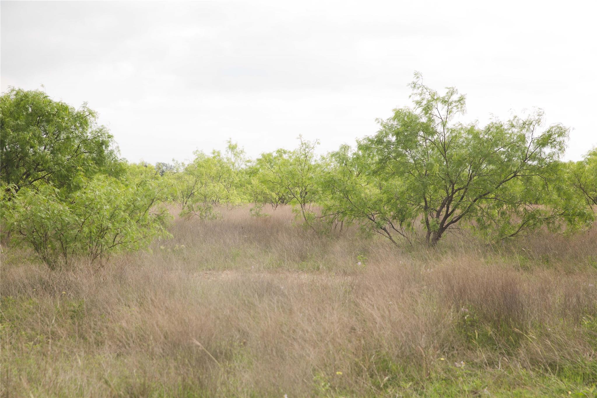 Tract 34 County Road 2800, Lometa, TX 76853