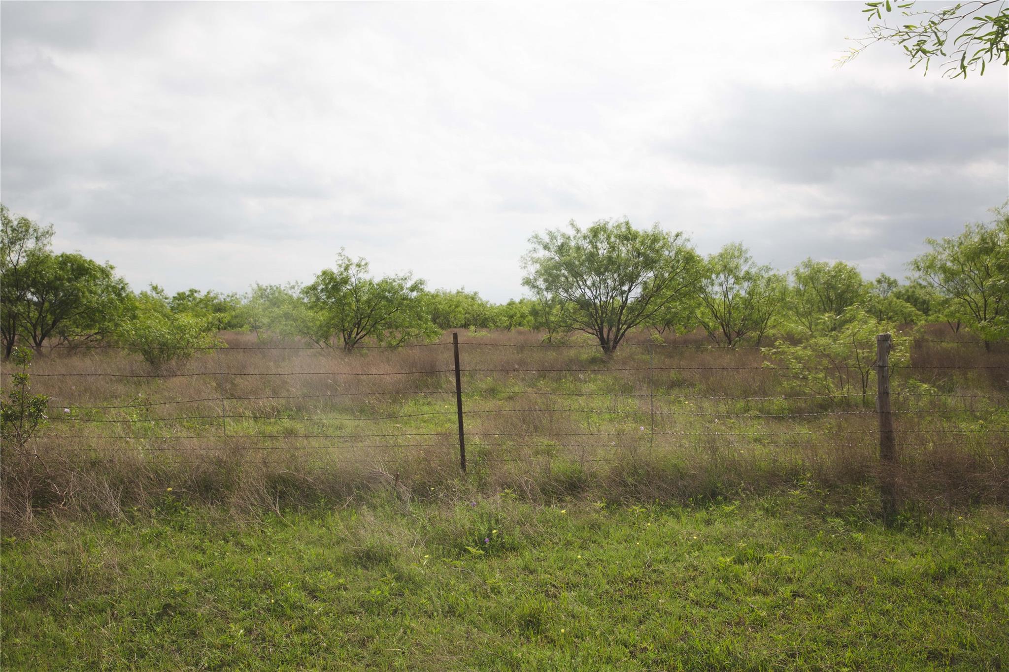 Tract 34 County Road 2800, Lometa, TX 76853