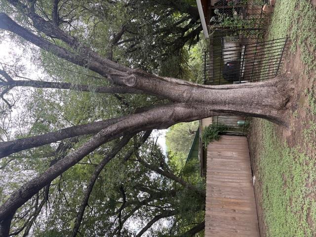 Austin, TX 78744