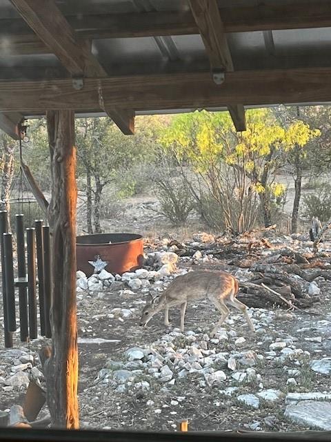 6475 Trophy Trl, Menard, TX 76841