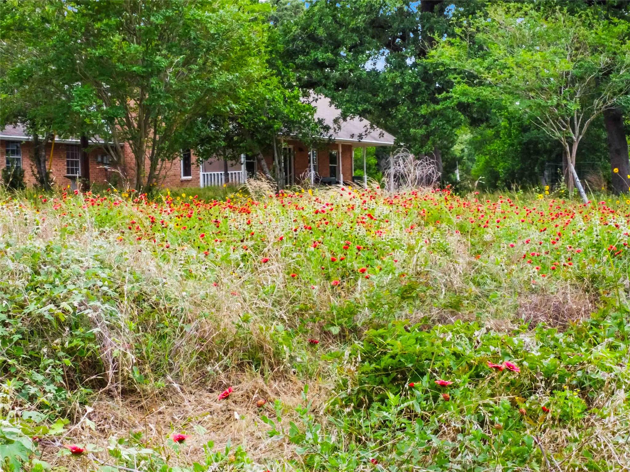 428 Gotier Trace Rd, Smithville, TX 78957