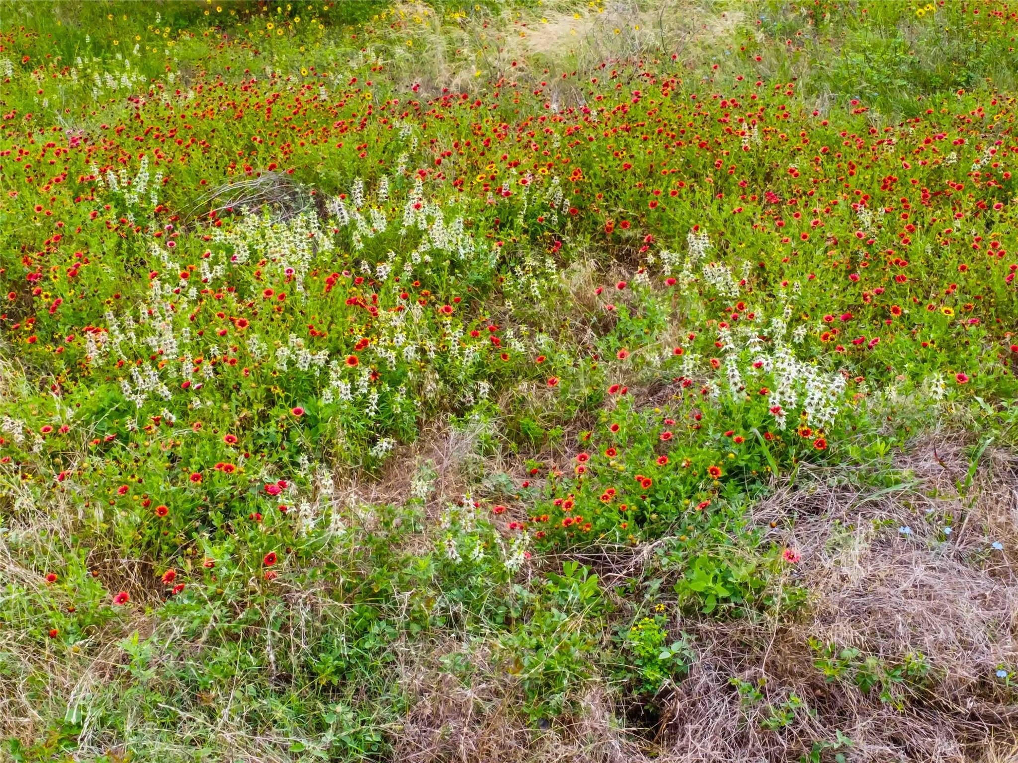 428 Gotier Trace Rd, Smithville, TX 78957