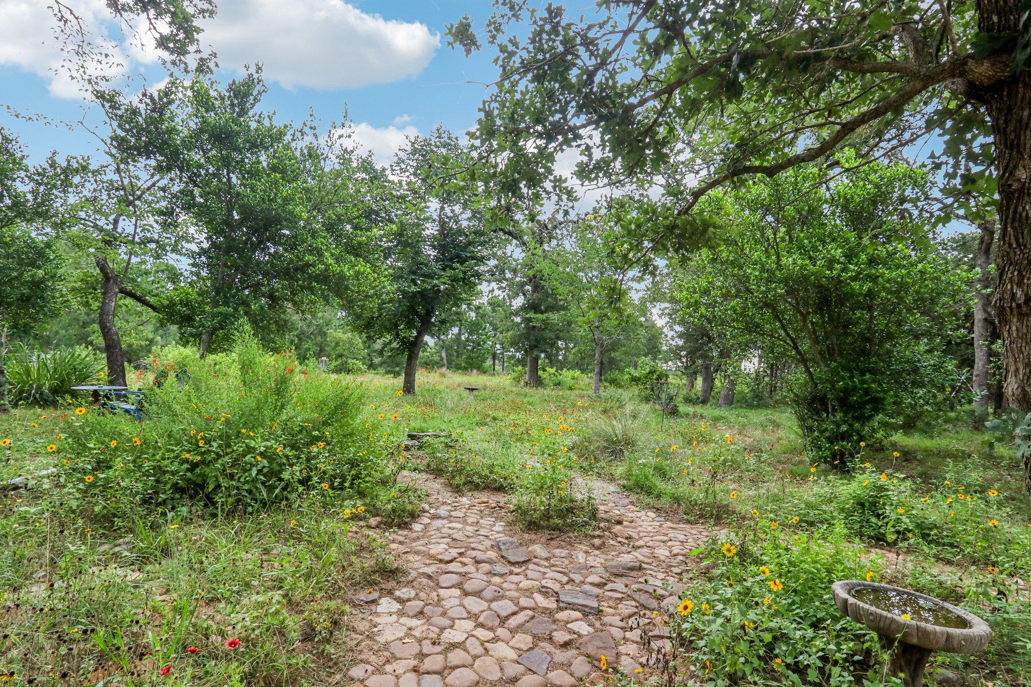 428 Gotier Trace Rd, Smithville, TX 78957