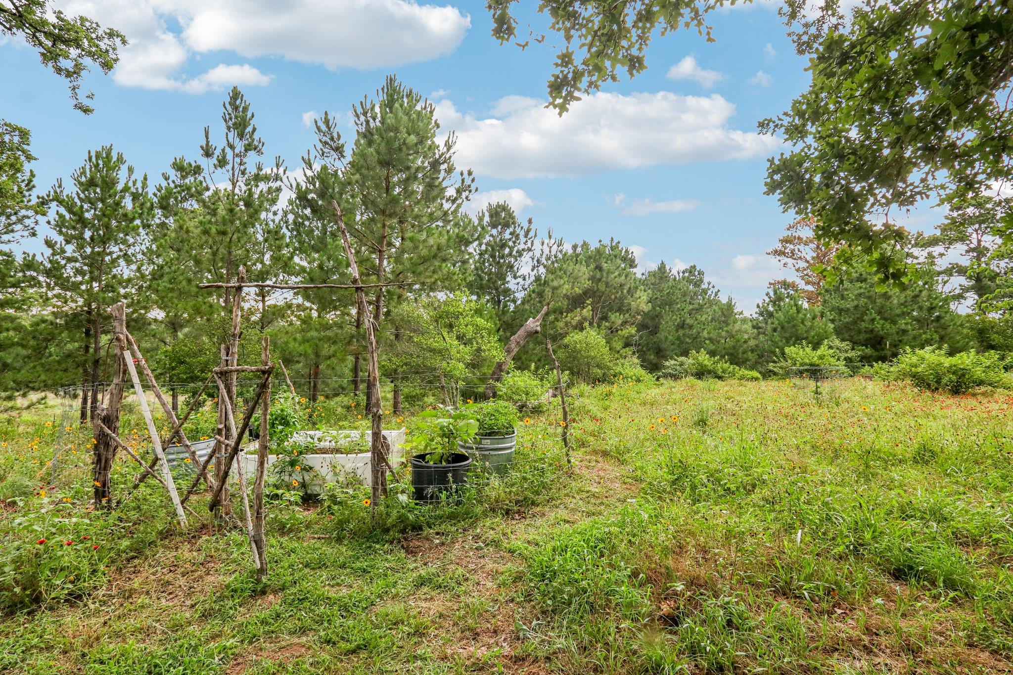 428 Gotier Trace Rd, Smithville, TX 78957