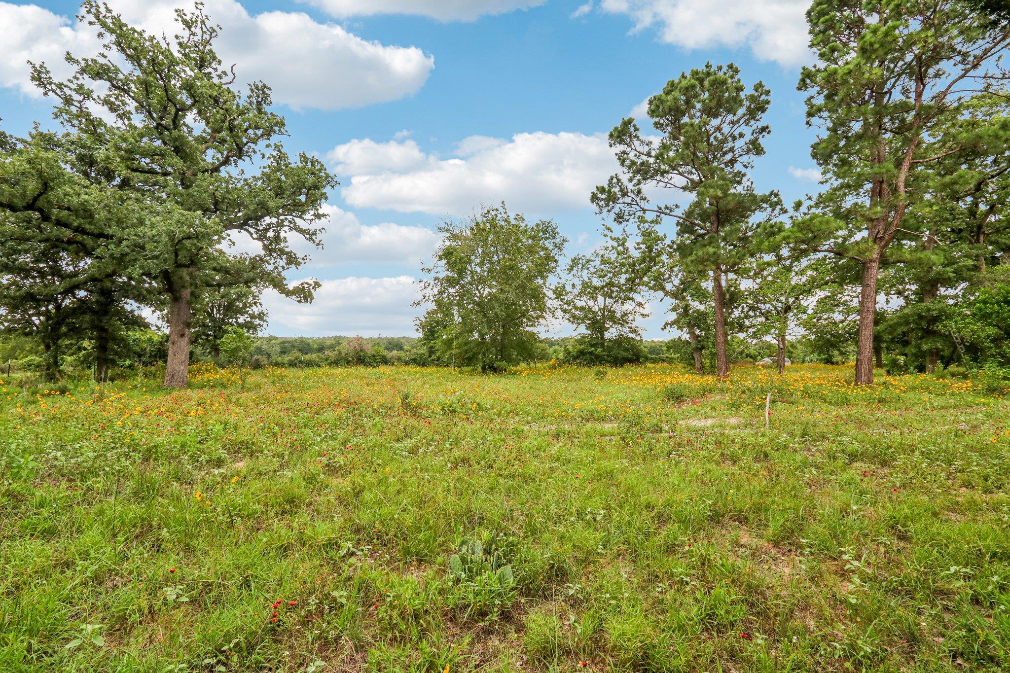 428 Gotier Trace Rd, Smithville, TX 78957