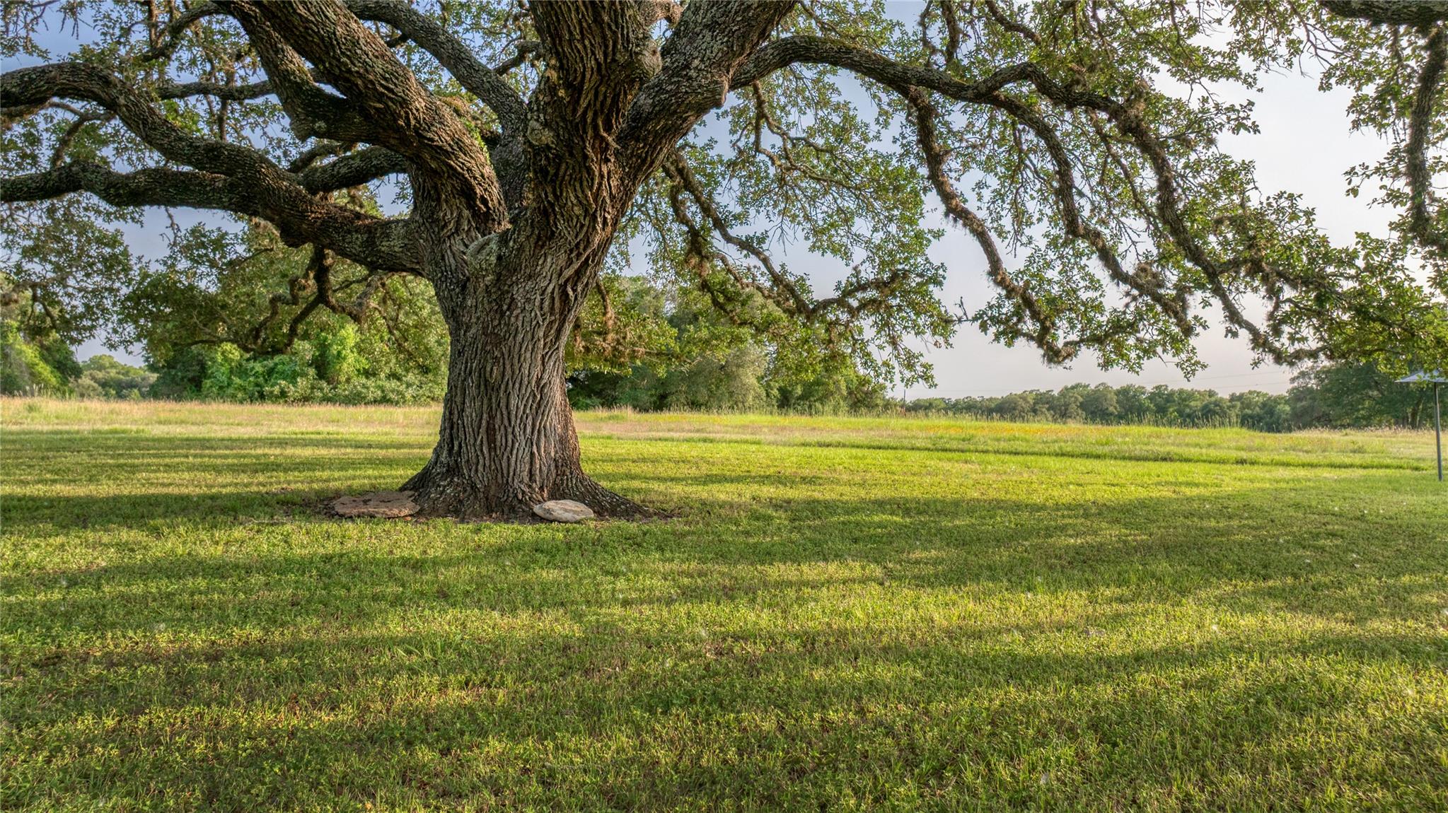 10209 Seward Plantation Rd, Brenham, TX 77833