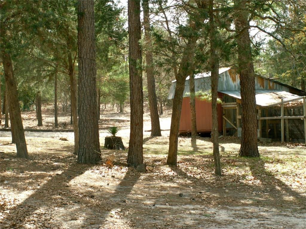 143 Old Piney Trl # B, Paige, TX 78659