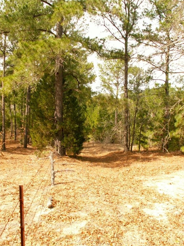 143 Old Piney Trl # B, Paige, TX 78659