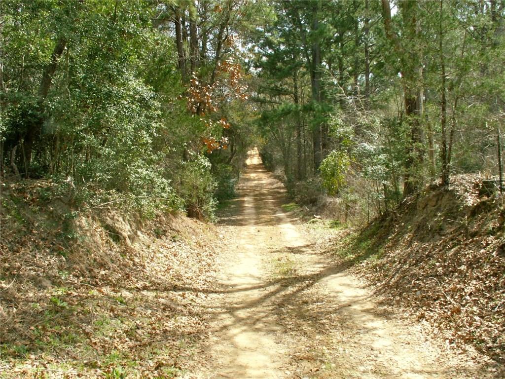 143 Old Piney Trl # B, Paige, TX 78659
