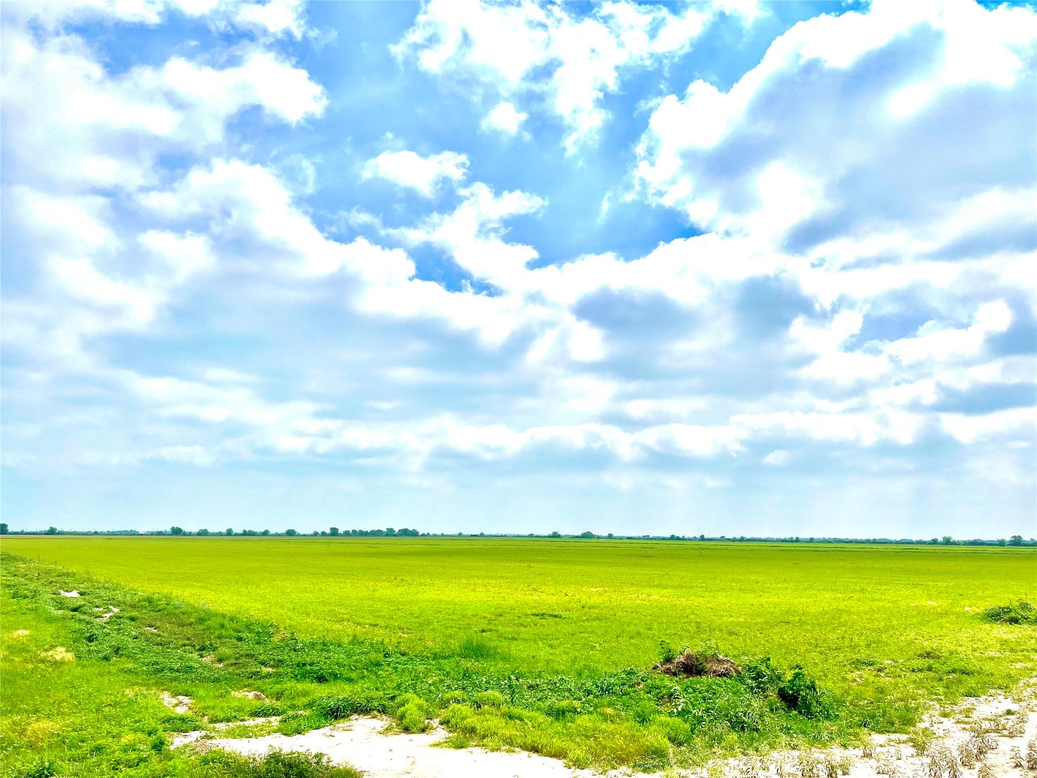 TBD Tract 13 County Road 210, Eagle Lake, TX 77434