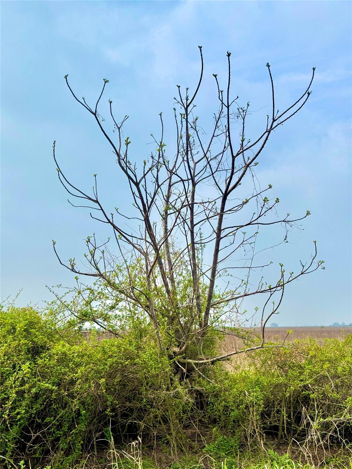 TBD Tract 13 County Road 210, Eagle Lake, TX 77434