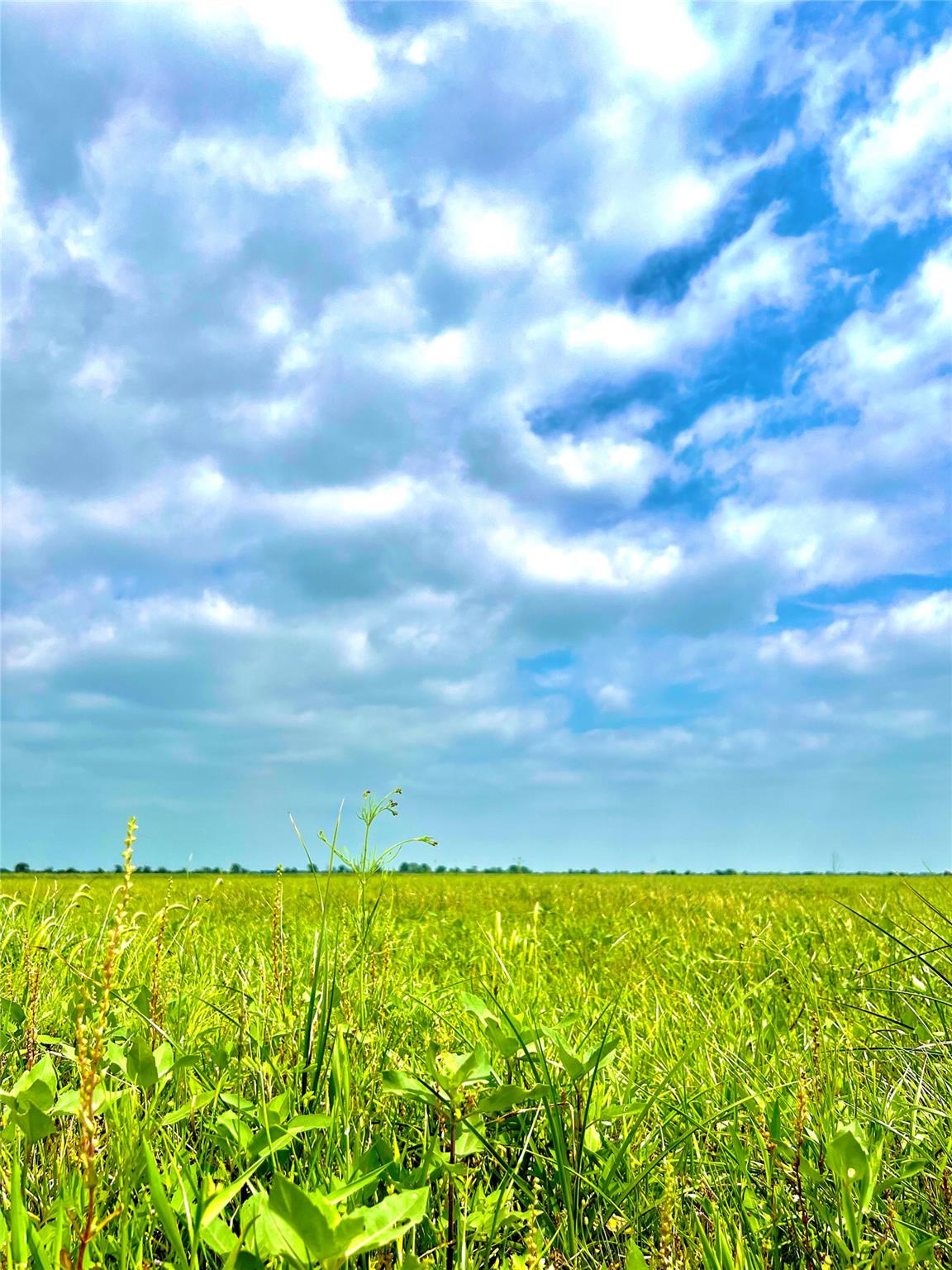 TBD Tract 13 County Road 210, Eagle Lake, TX 77434