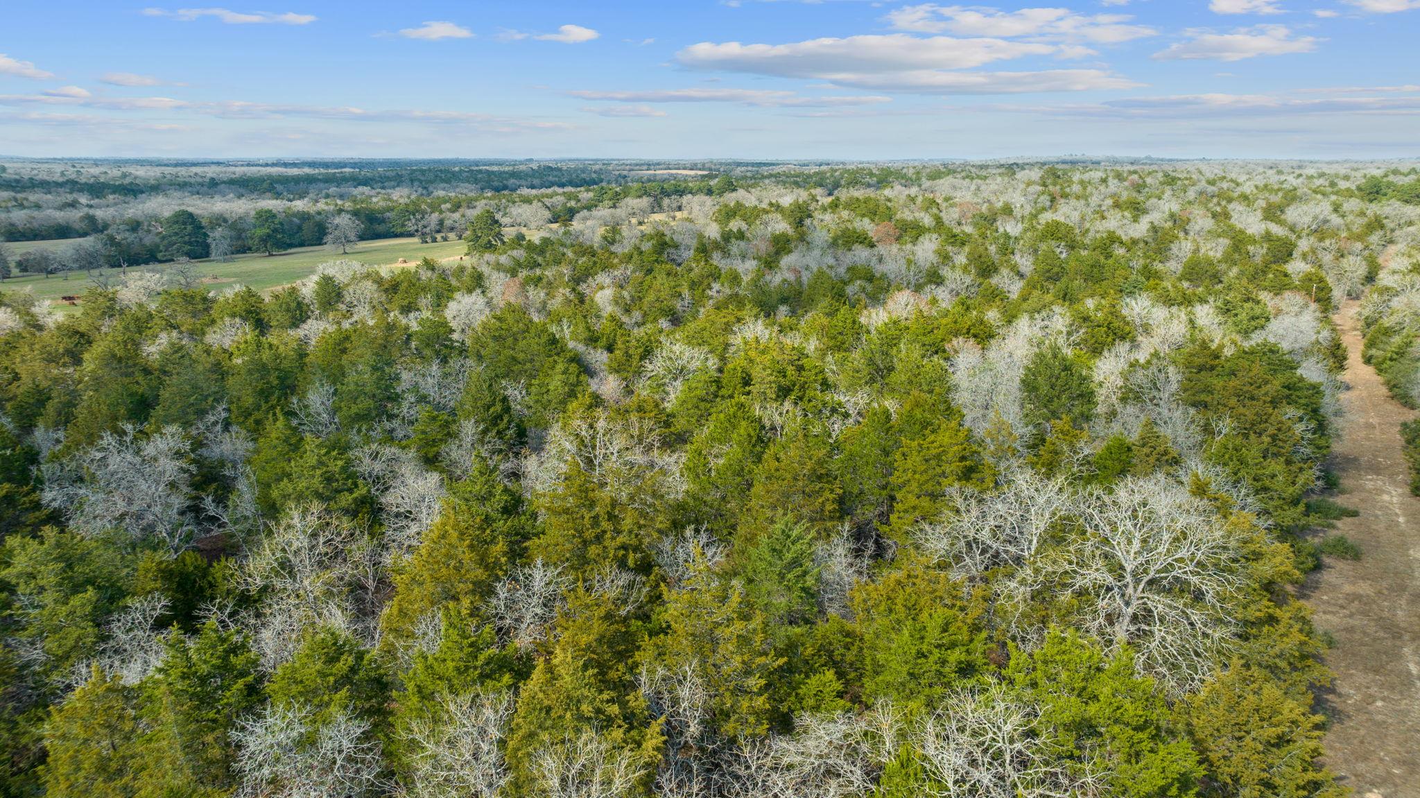 16945 FM 713, Rosanky, TX 78953