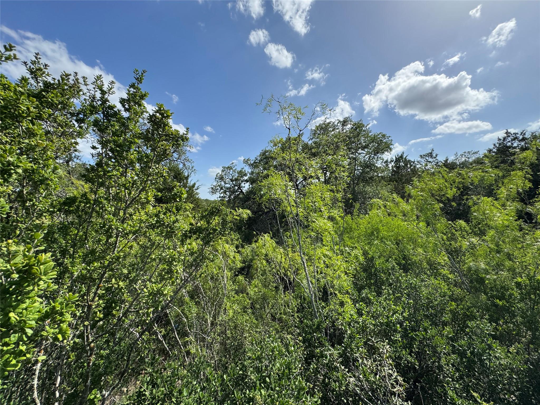 211 Hunters Glen Dr, San Marcos, TX 78666