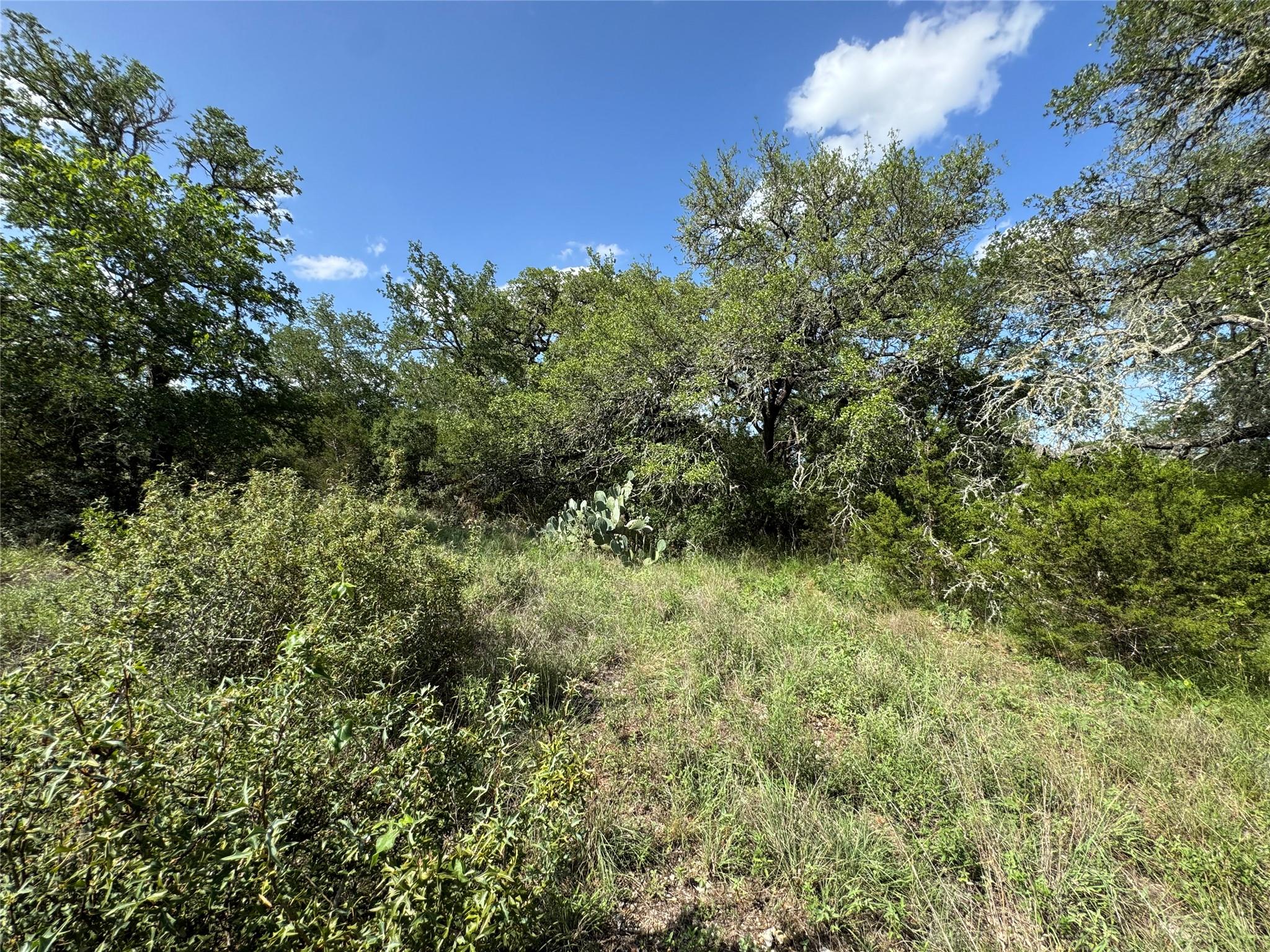 211 Hunters Glen Dr, San Marcos, TX 78666