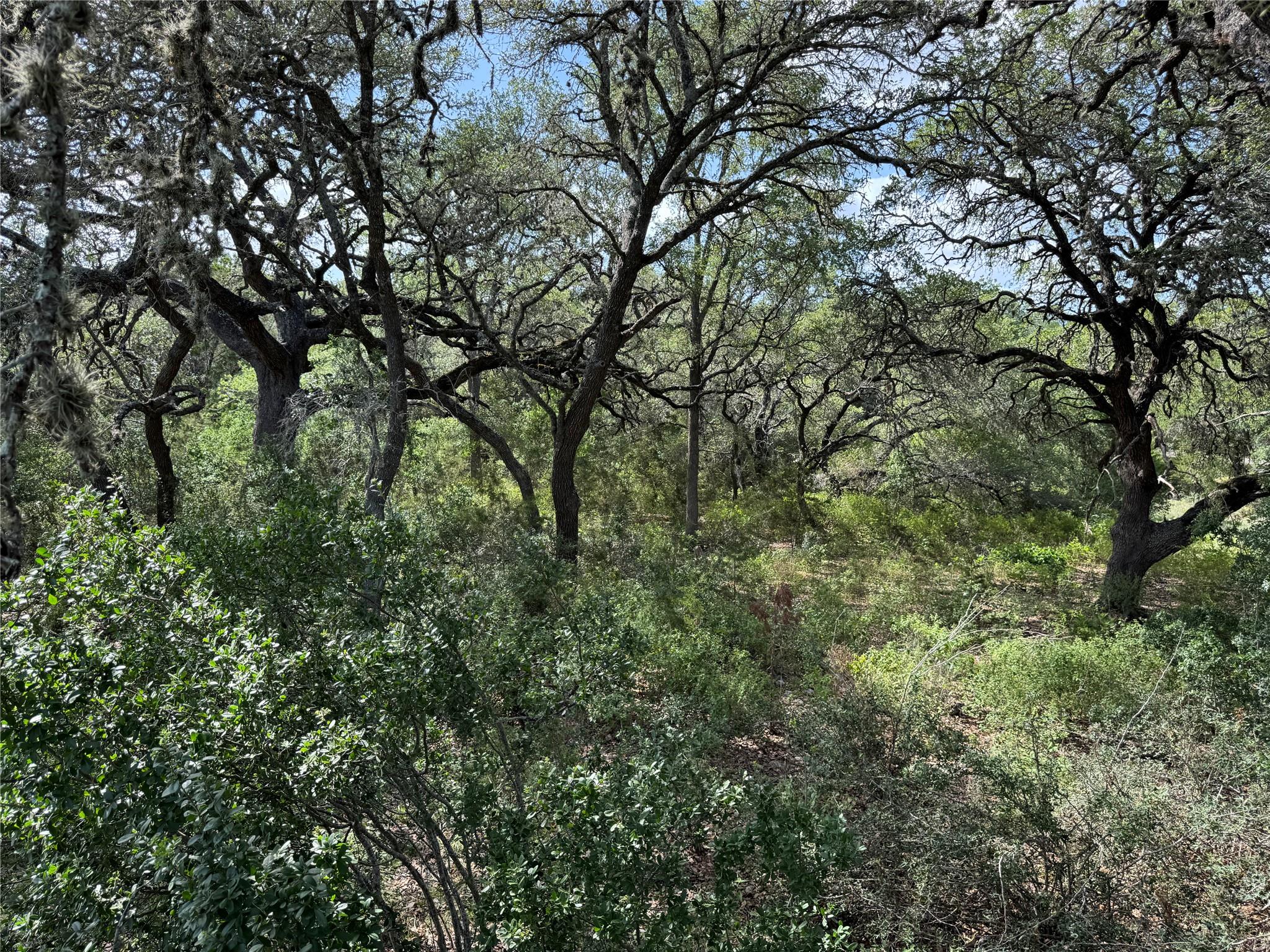 211 Hunters Glen Dr, San Marcos, TX 78666