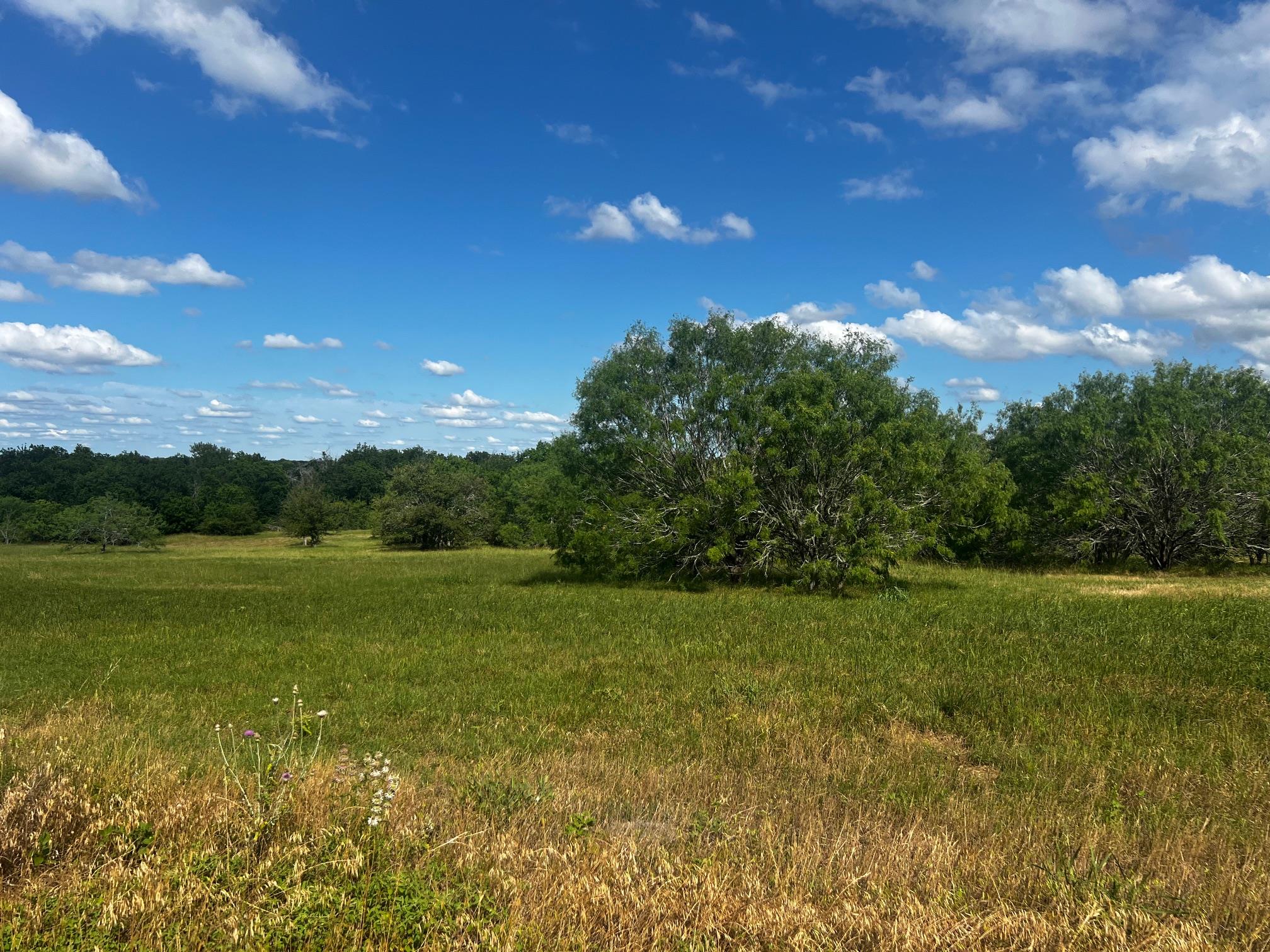 Lot 5 High Meadow Court East, Schulenburg, TX 78956
