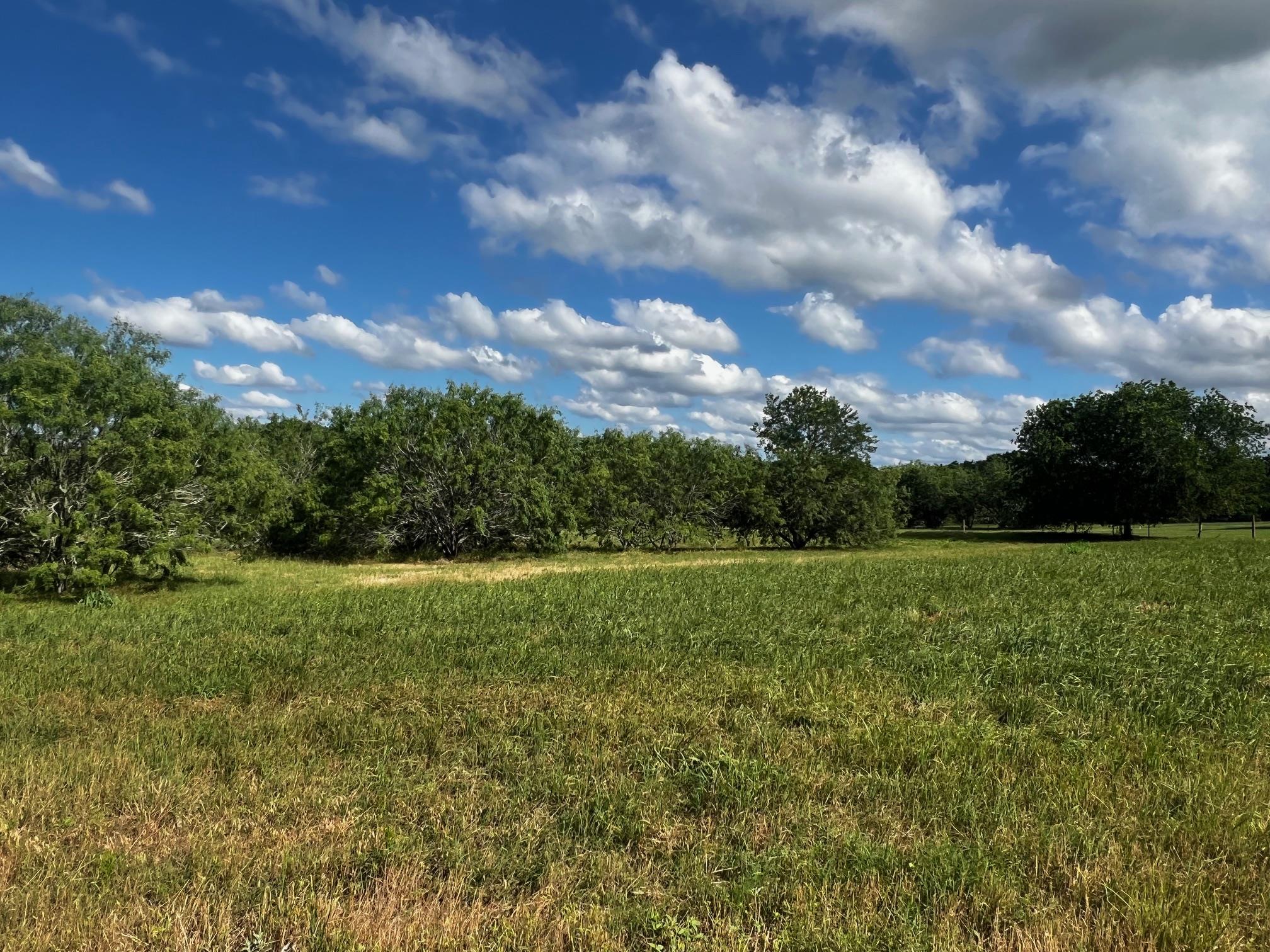 Lot 5 High Meadow Court East, Schulenburg, TX 78956