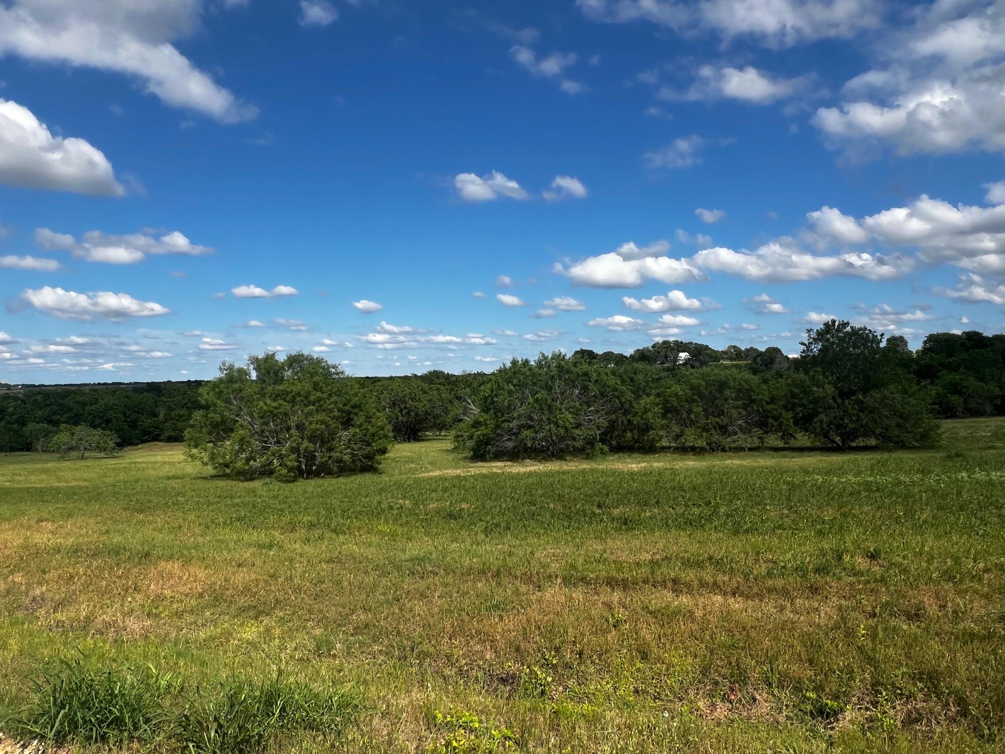 Lot 5 High Meadow Court East, Schulenburg, TX 78956