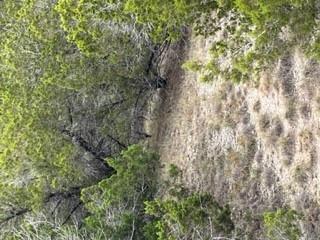 8702 Tepee Cv, Lago Vista, TX 78645