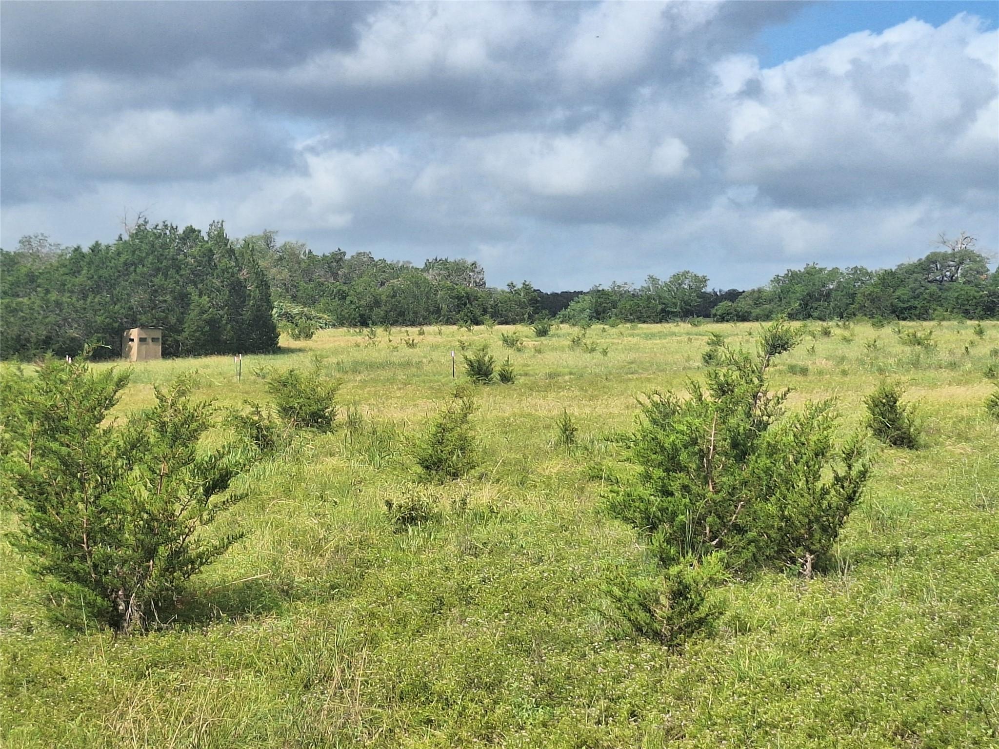 1495 County Road 281 Rd, Leander, TX 78641