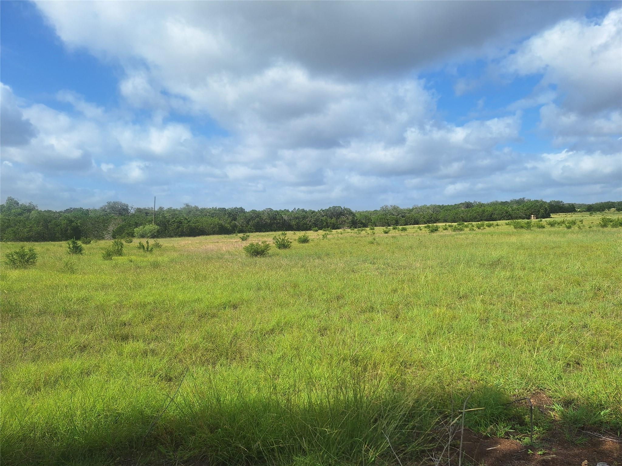 1495 County Road 281 Rd, Leander, TX 78641