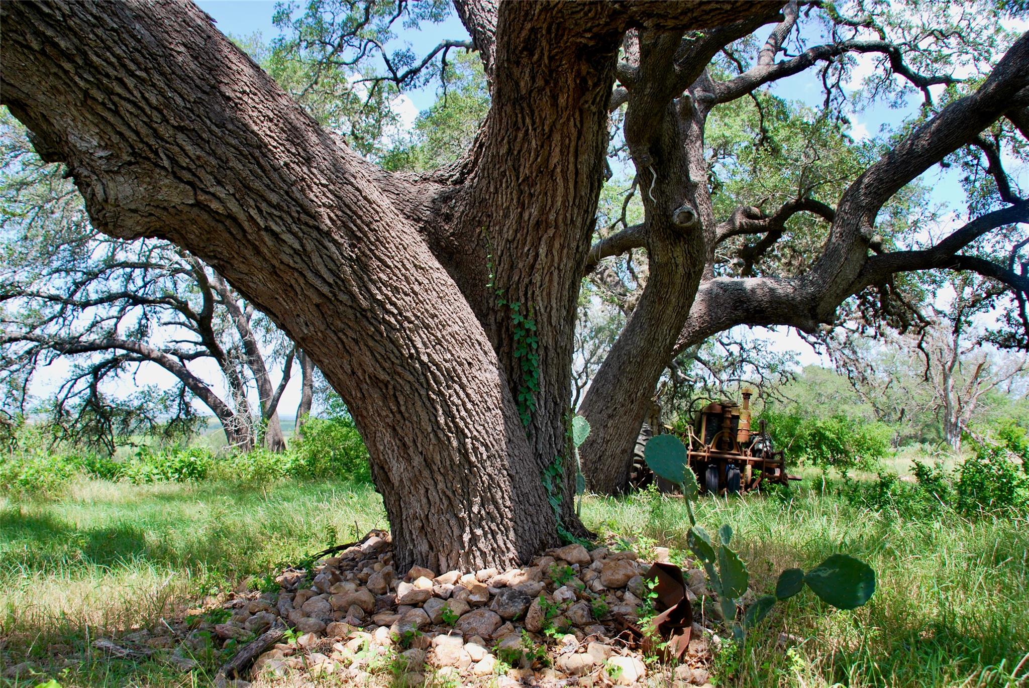 2725 Old Lehmann Rd, Kingsbury, TX 78638