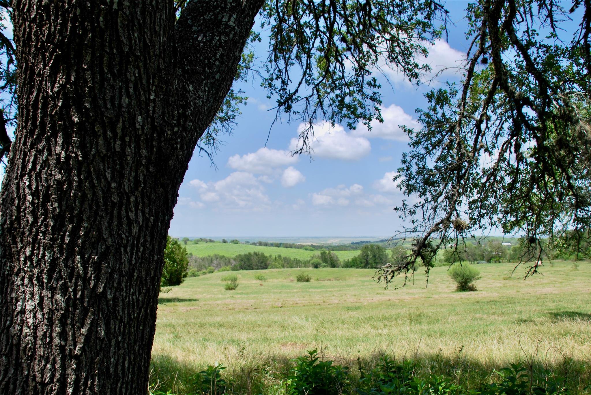 2725 Old Lehmann Rd, Kingsbury, TX 78638