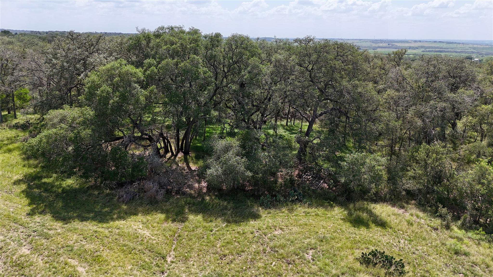 2725 Old Lehmann Rd, Kingsbury, TX 78638