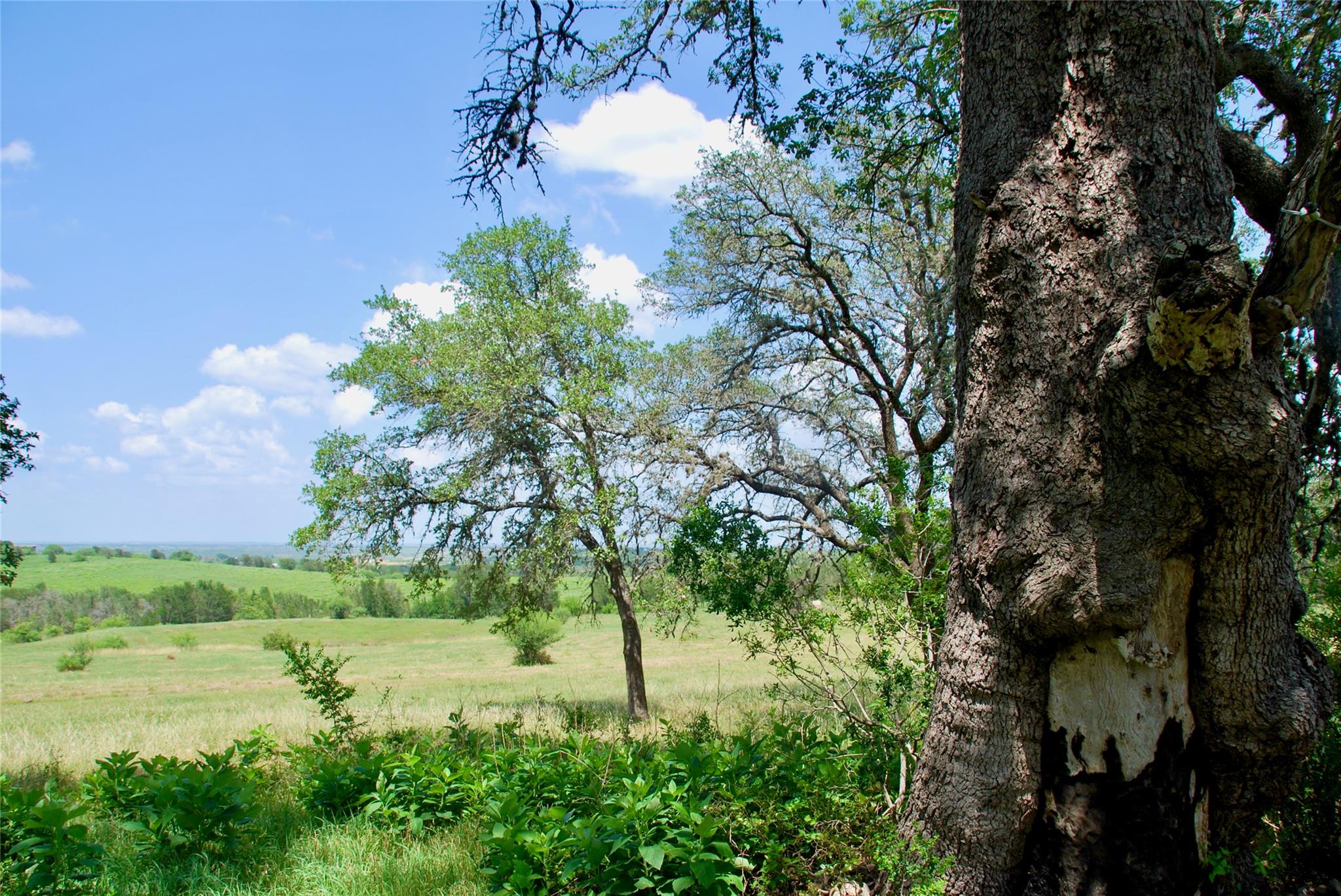 2725 Old Lehmann Rd, Kingsbury, TX 78638