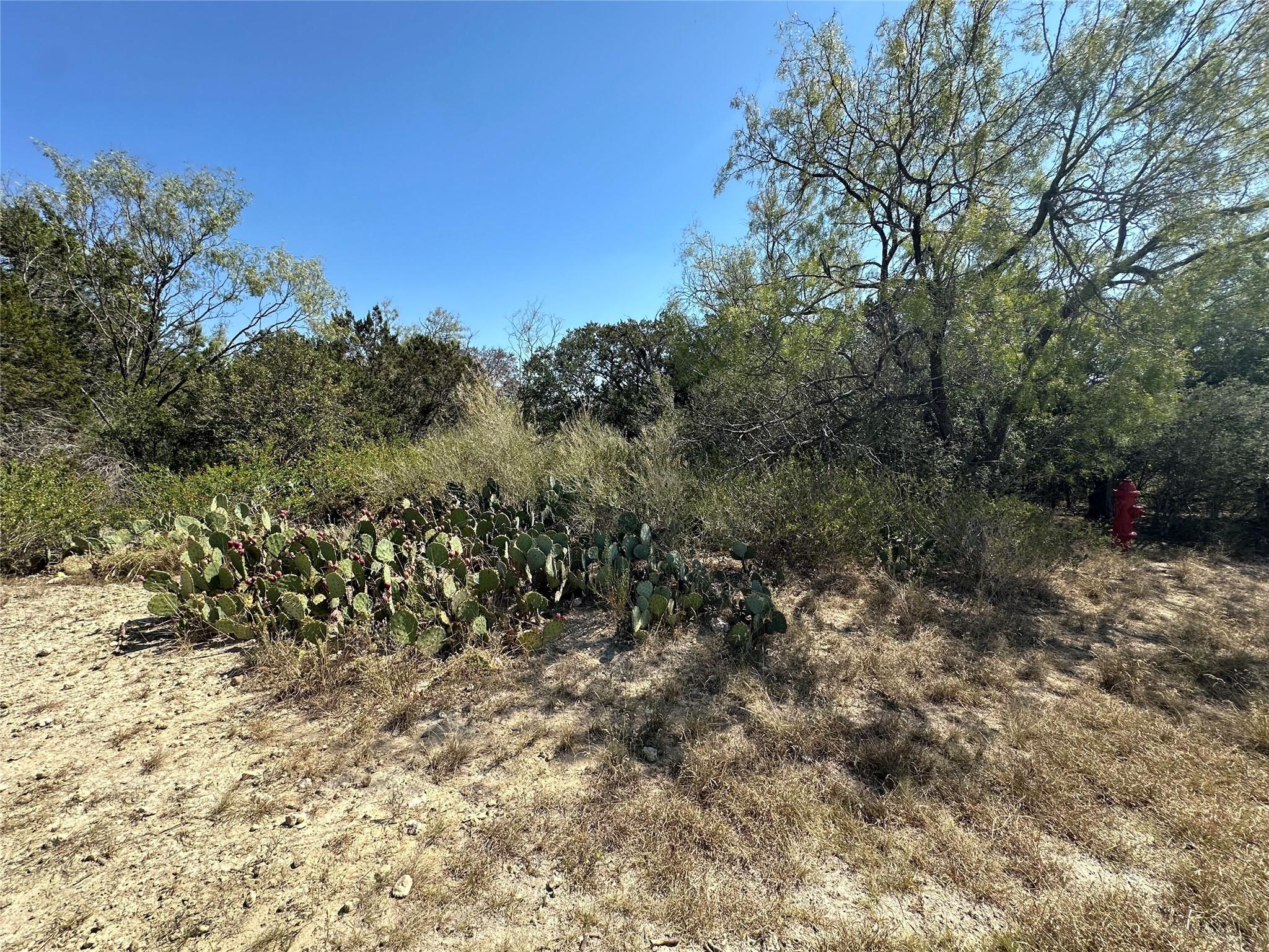 21412 Highland Lake Dr, Lago Vista, TX 78645