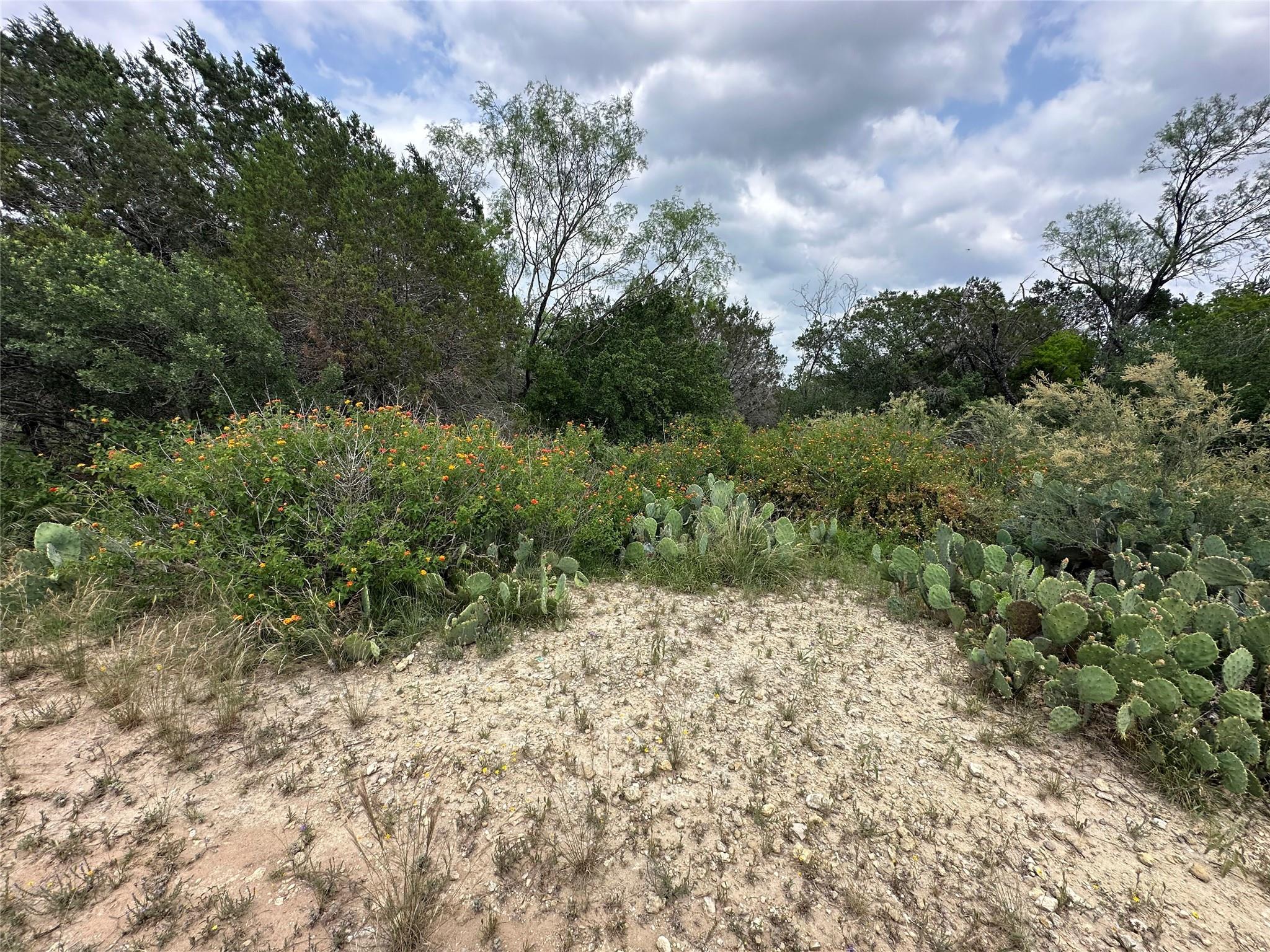 21412 Highland Lake Dr, Lago Vista, TX 78645