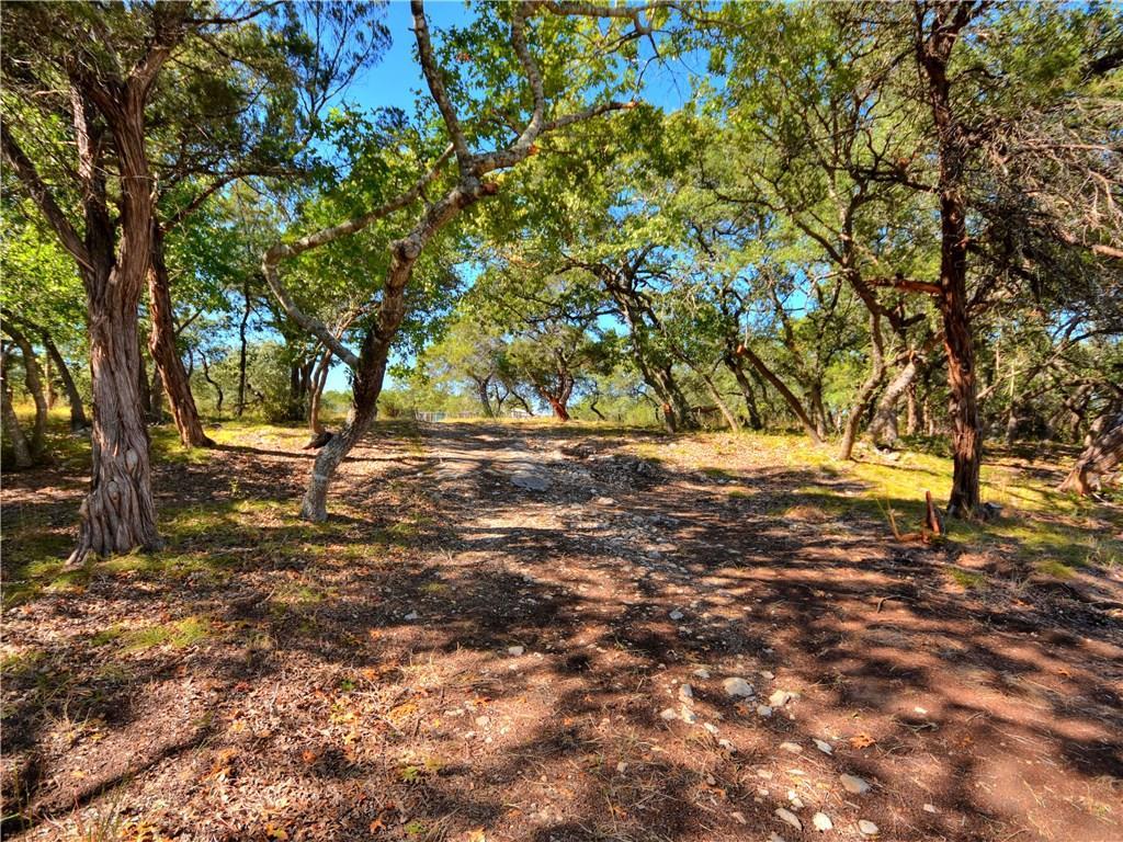 24391 Bingham Creek Rd, Leander, TX 78641
