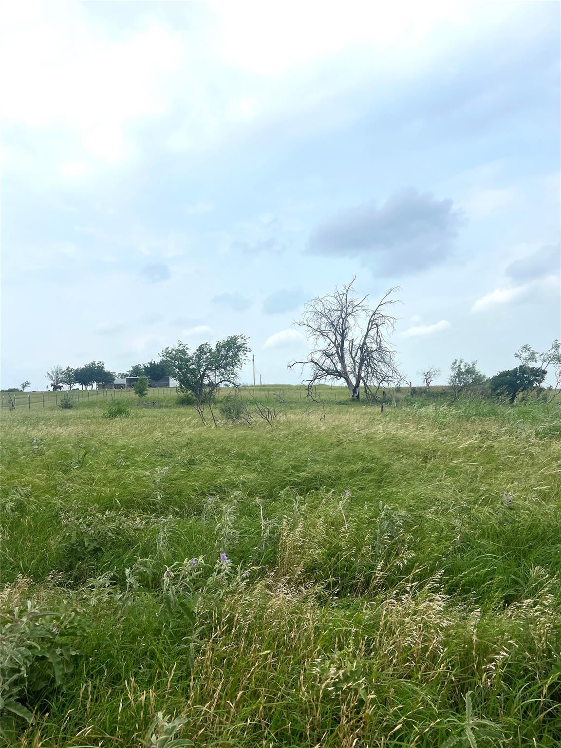 272 County Road 451 Rd, Coupland, TX 78615