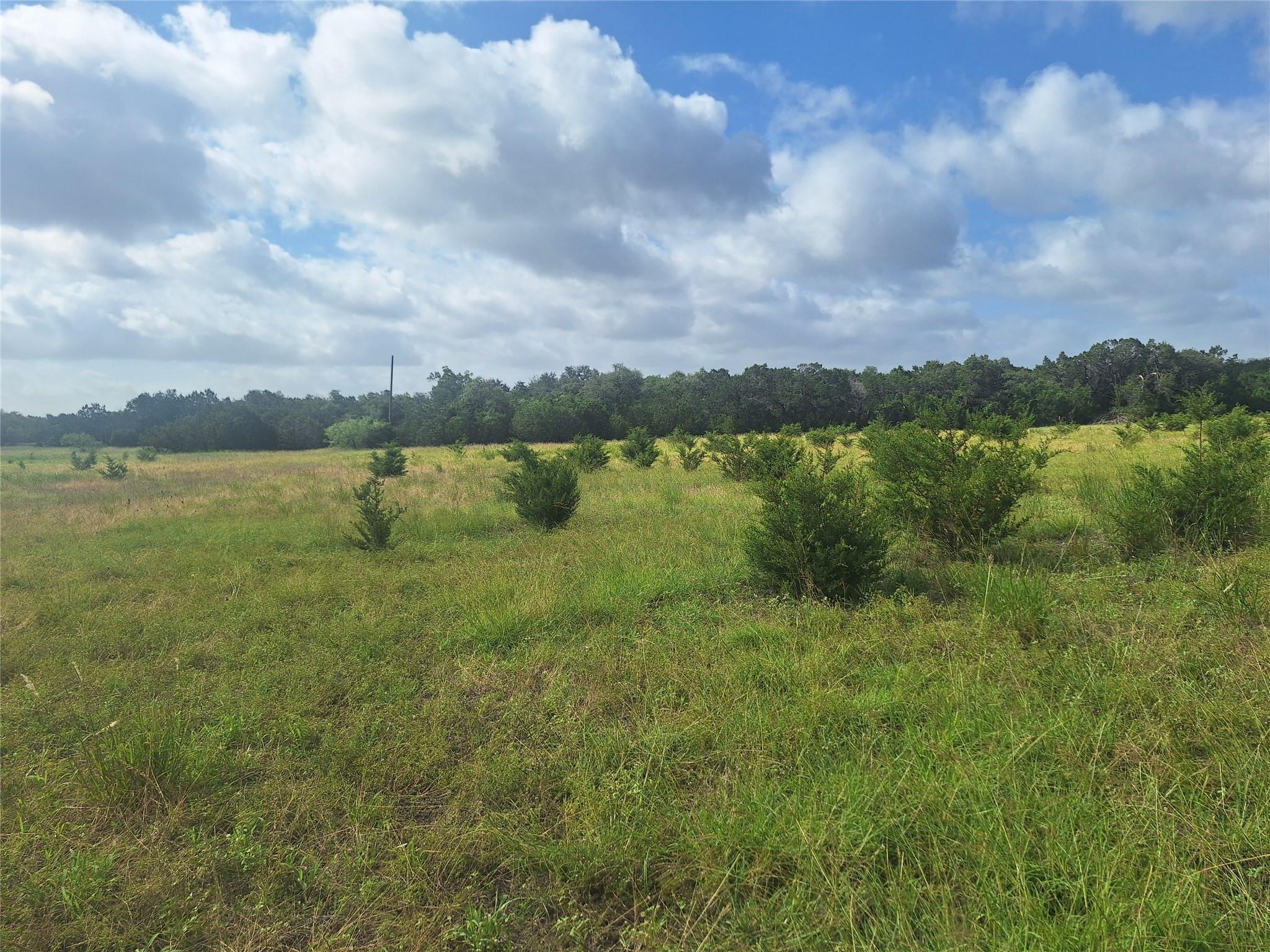 1483 County Road 281 Rd, Leander, TX 78641