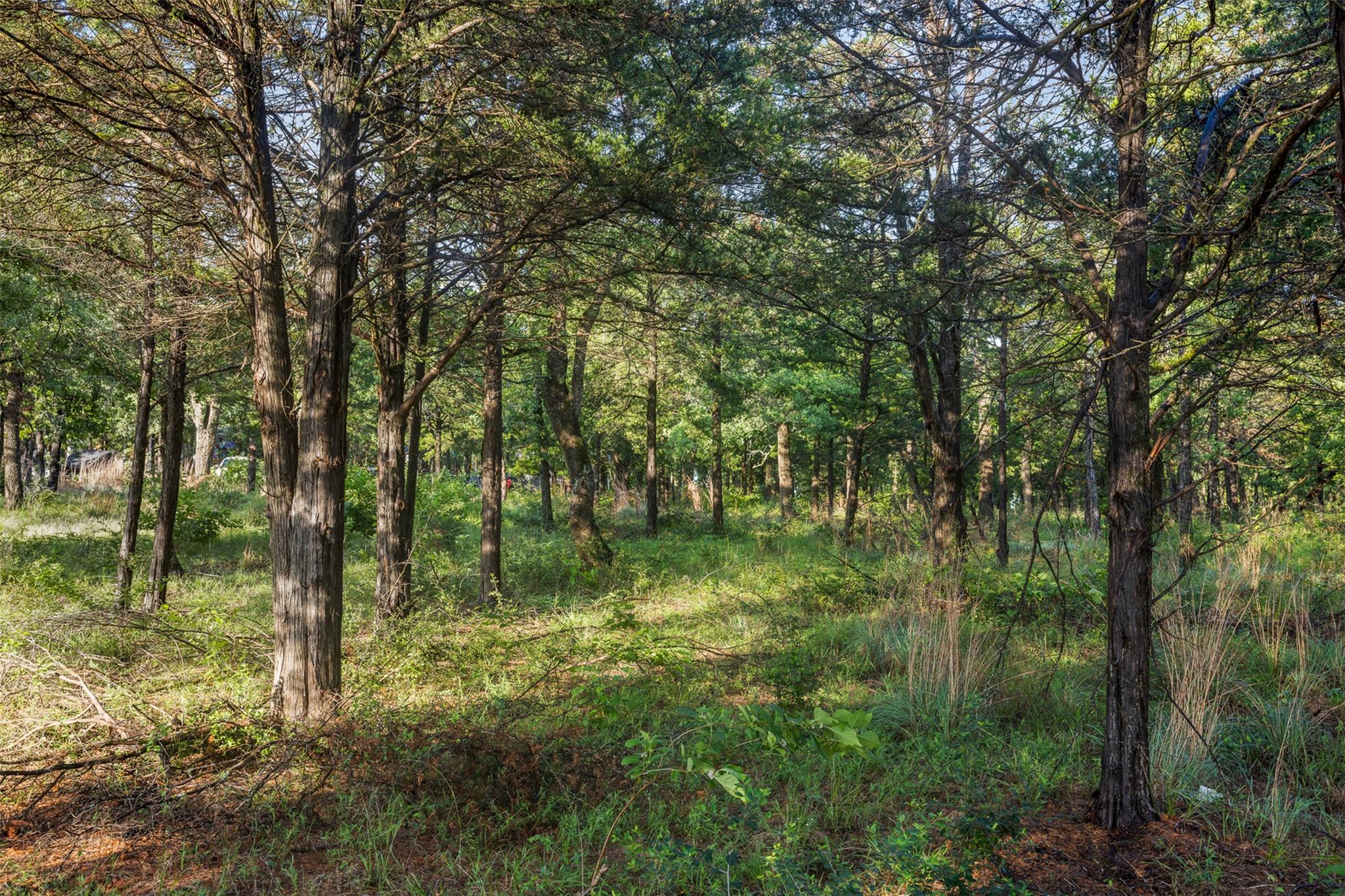 TBD Lincoln Lake Rd, Paige, TX 78659