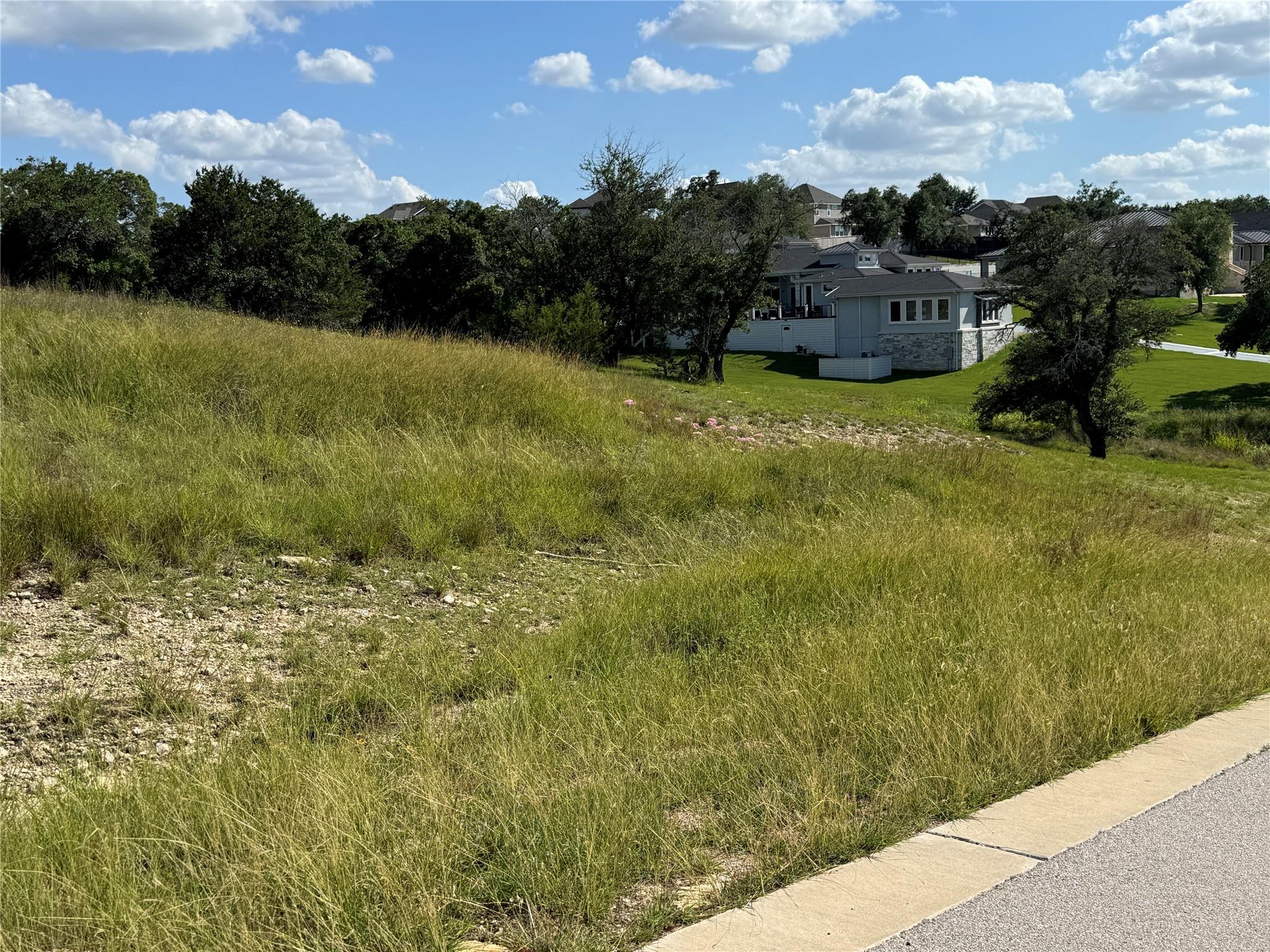 120 Taylor Creek Way, Liberty Hill, TX 78642