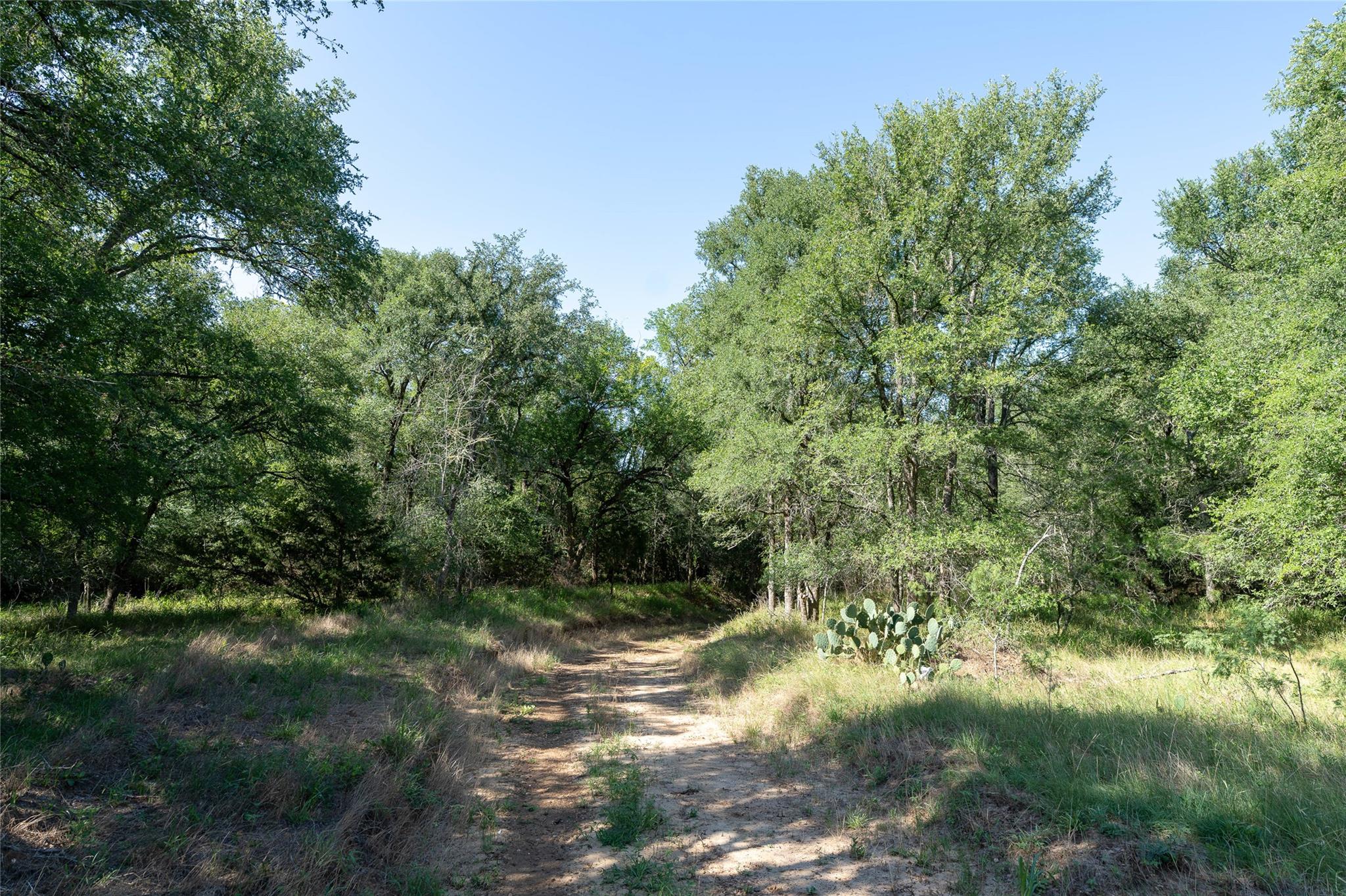 995 Carter Rd, Dale, TX 78616