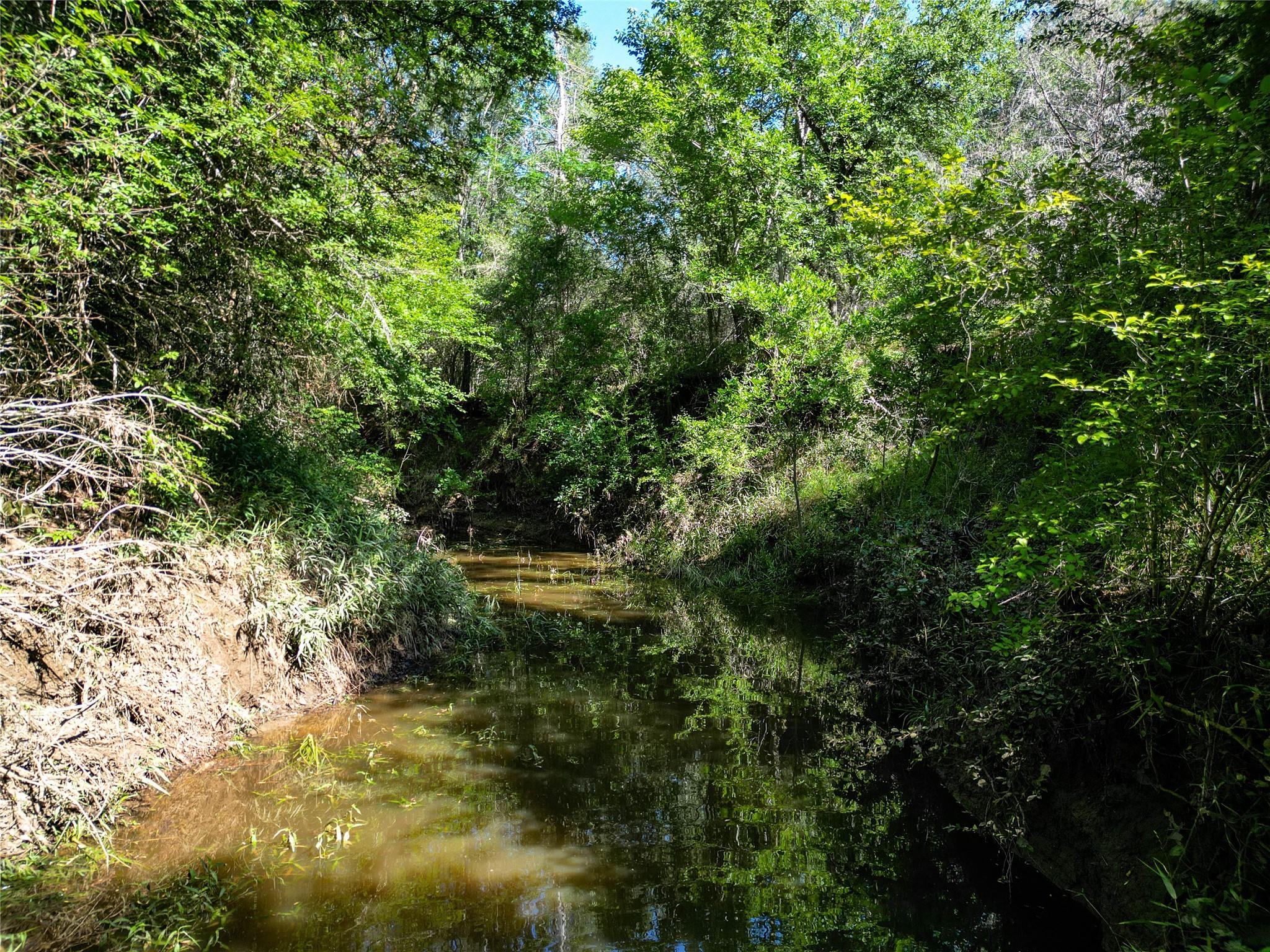 995 Carter Rd, Dale, TX 78616